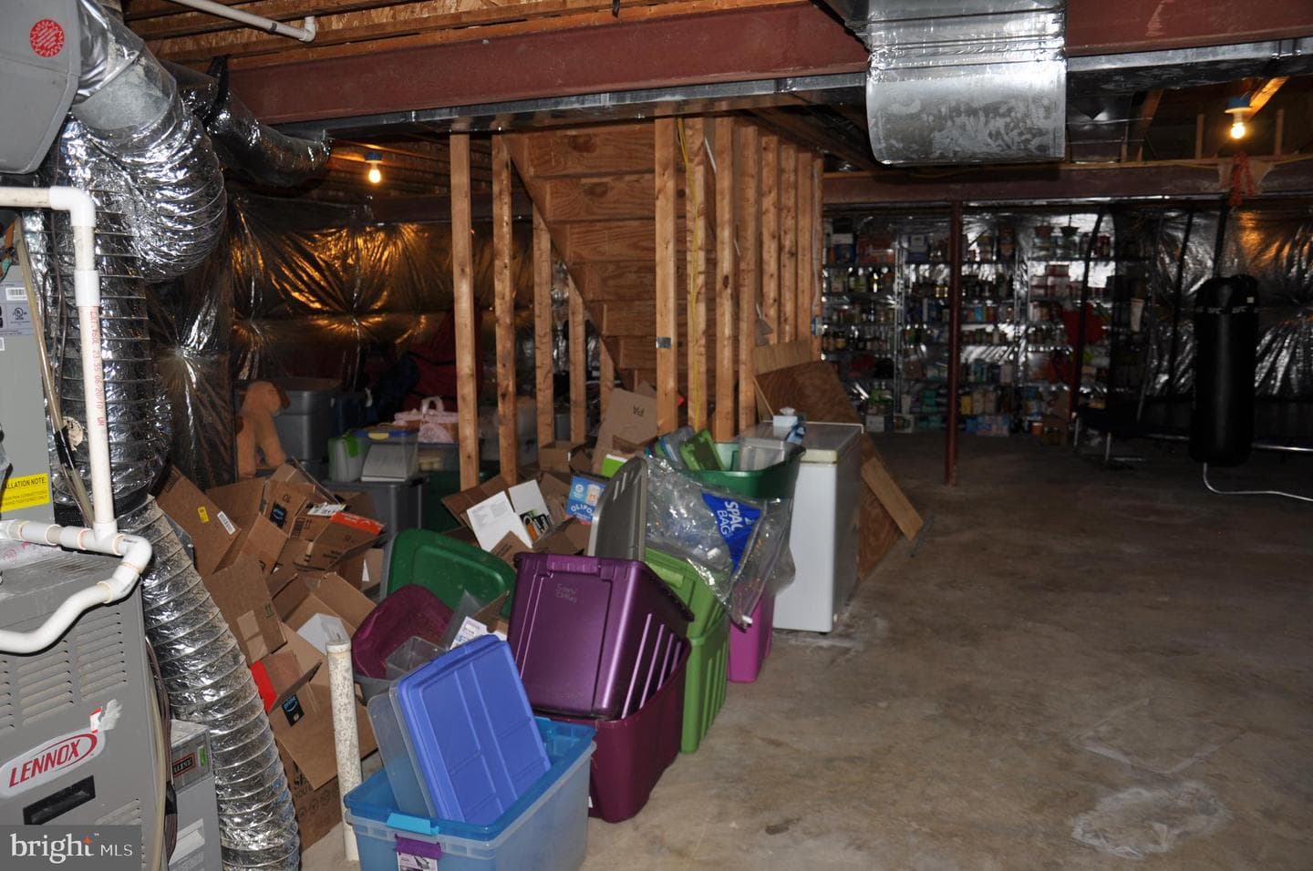 10621 Gallant Fox Way photo 63