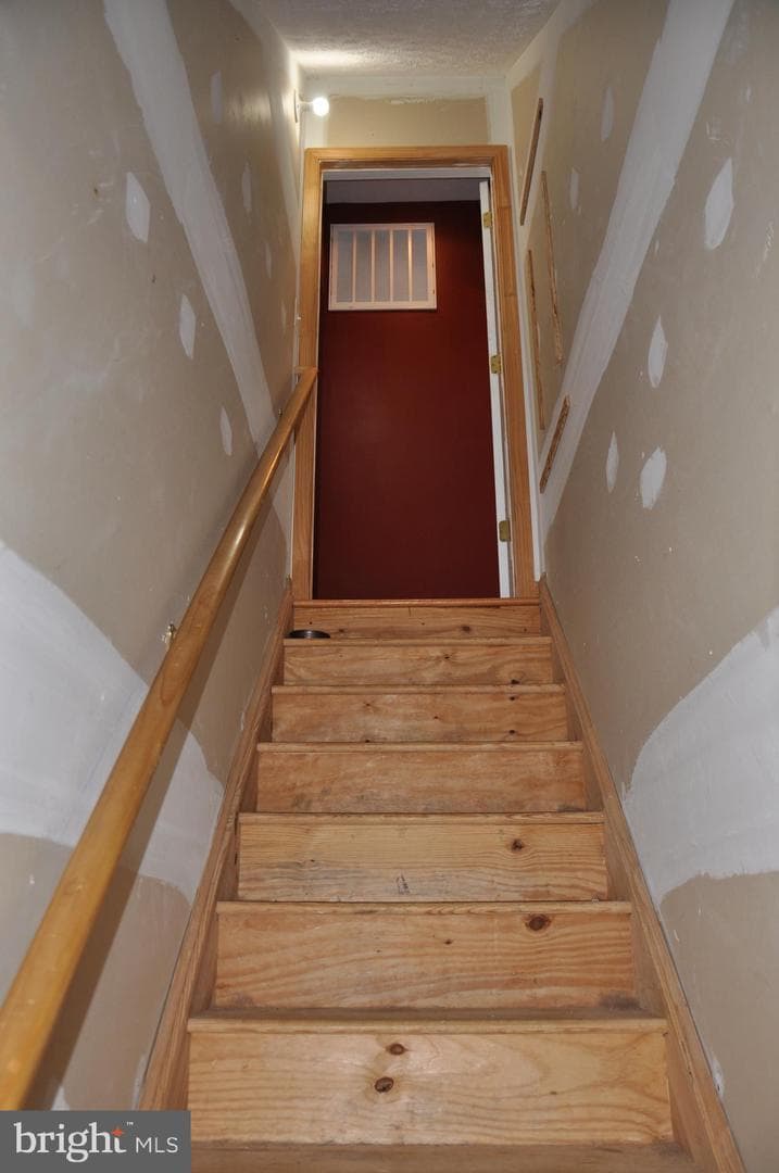 10621 Gallant Fox Way photo 65