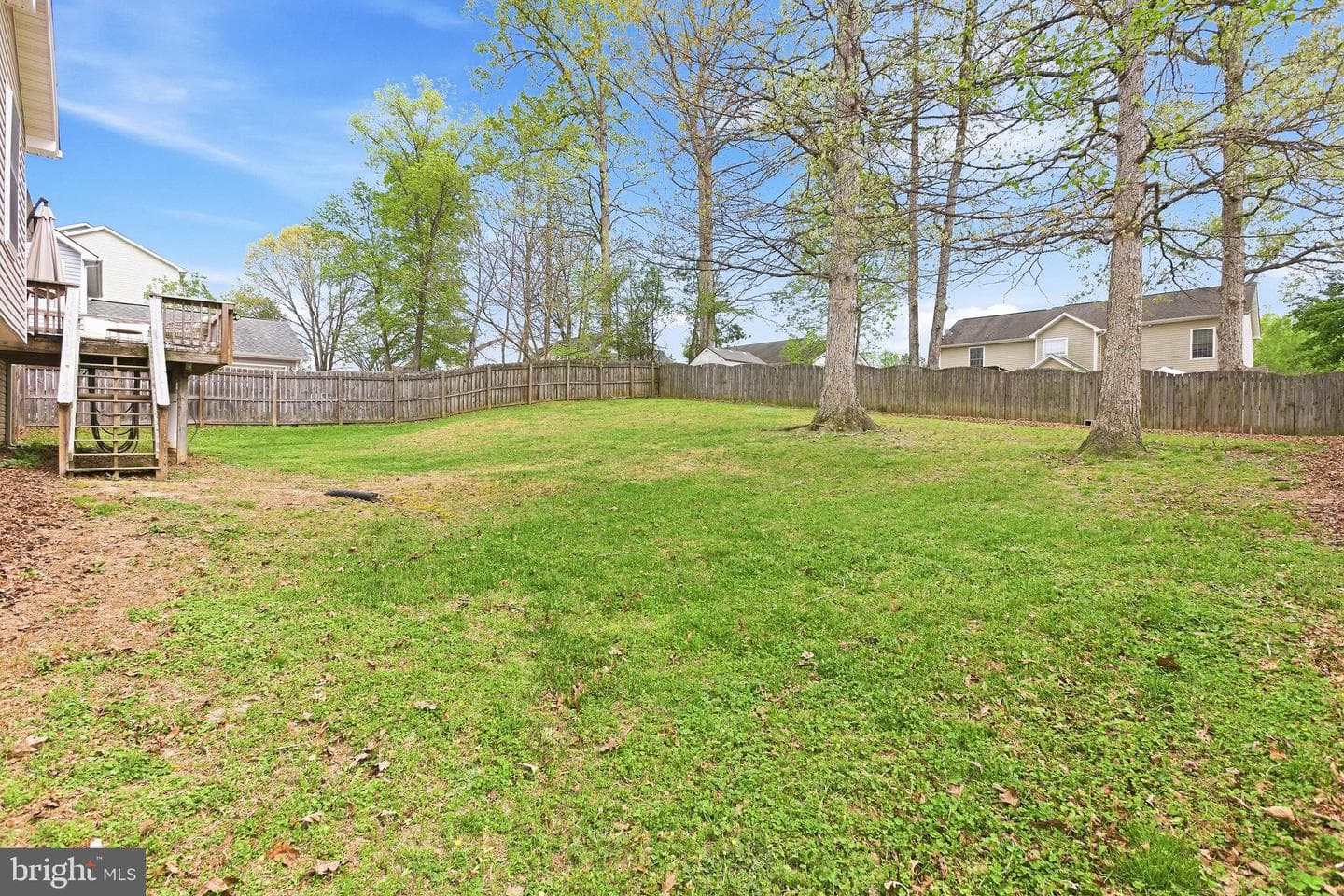 6162 Saddlehorn Street photo 43