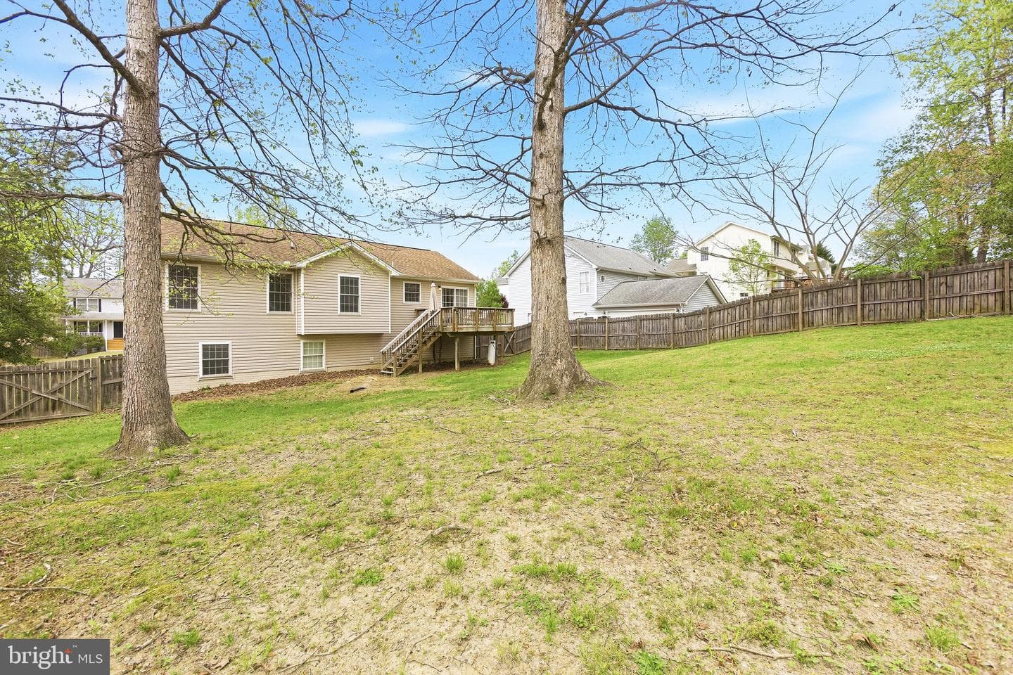 6162 Saddlehorn Street photo 44
