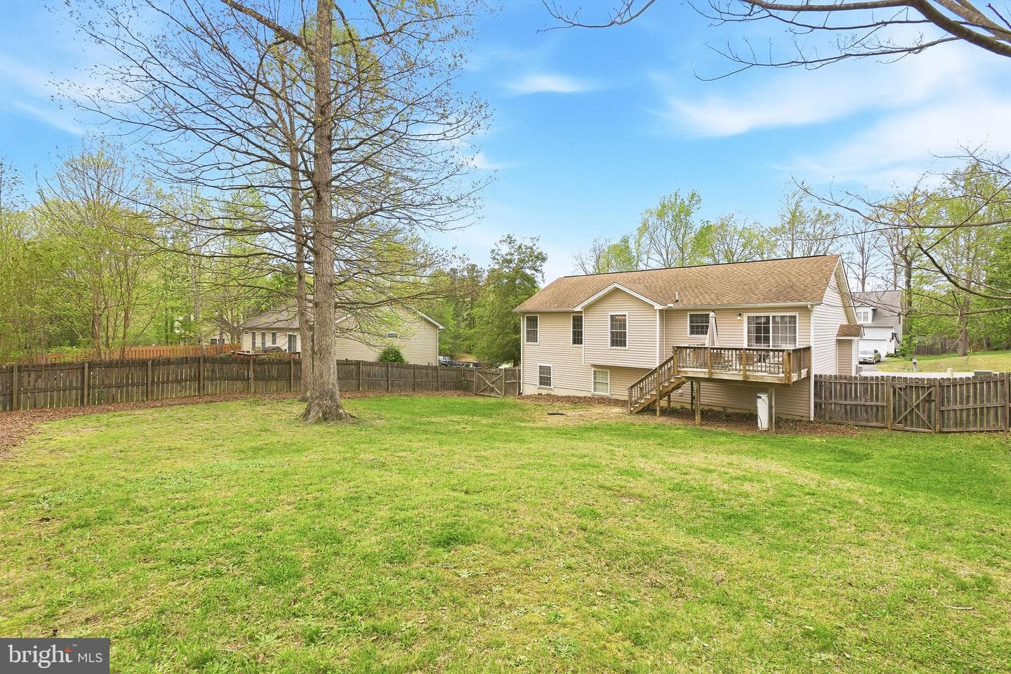 6162 Saddlehorn Street photo 46