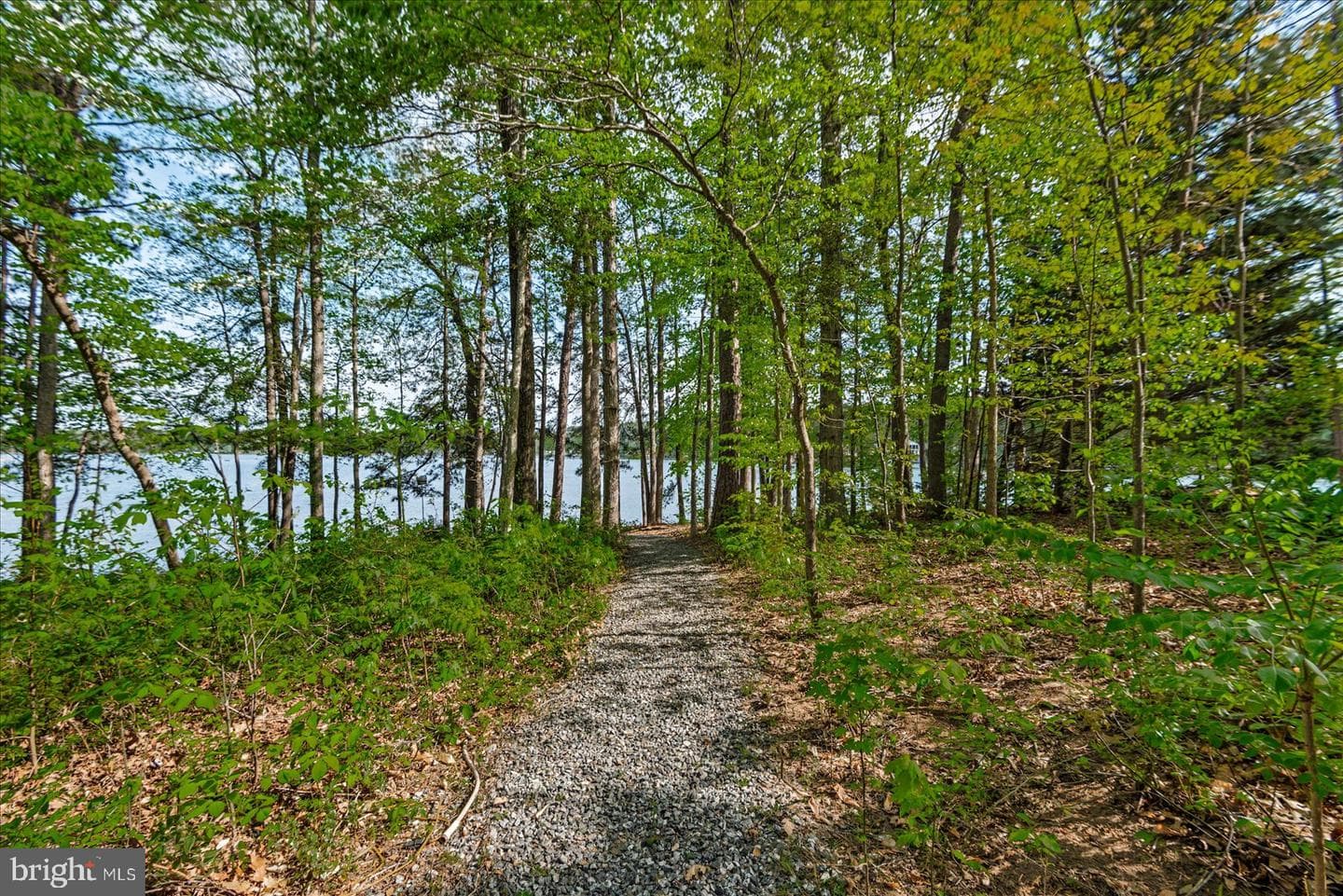 8 Franklin Cove photo 49