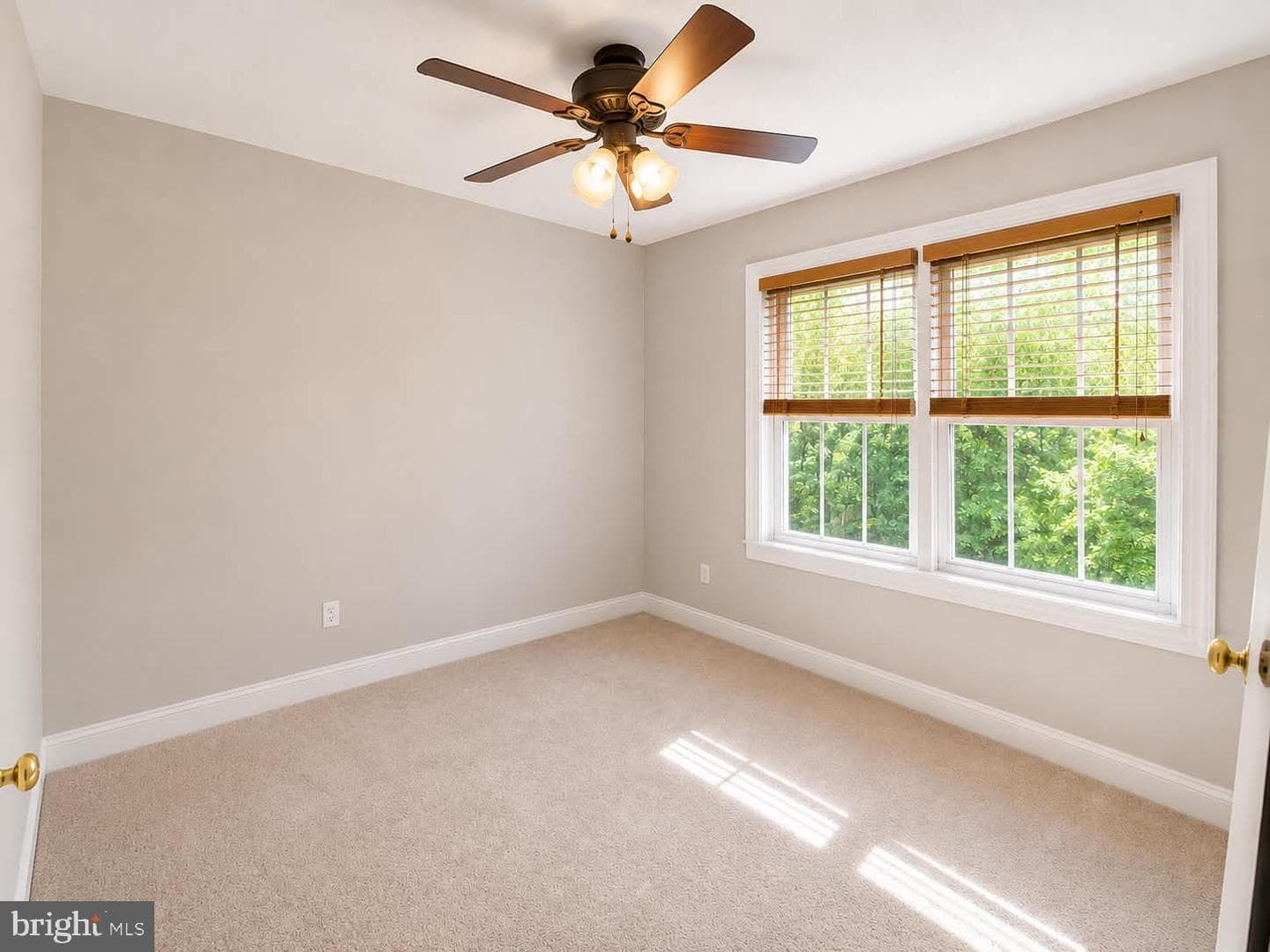 409 Cornwall Drive photo 18