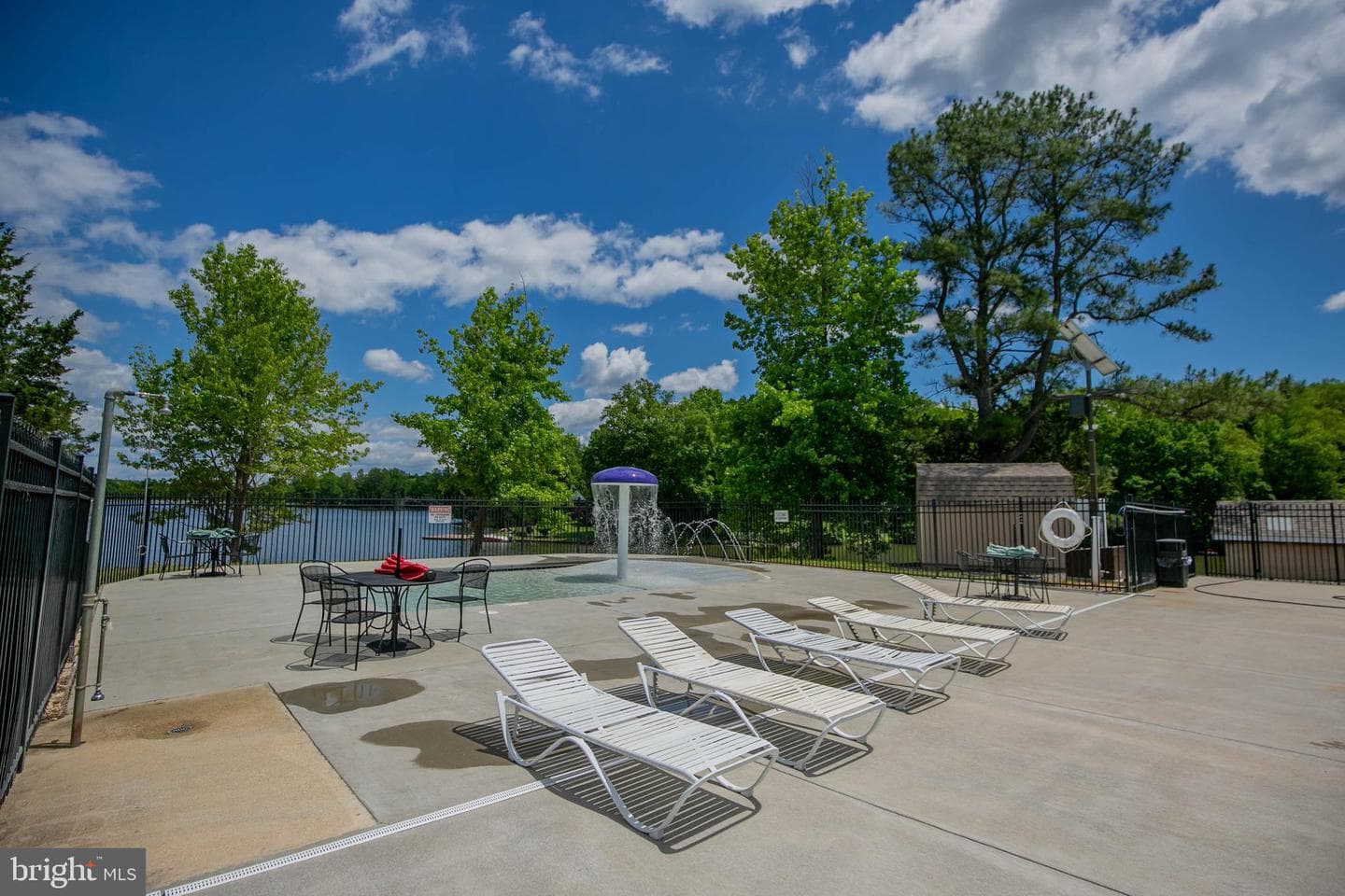 66 Albertson Court photo 56