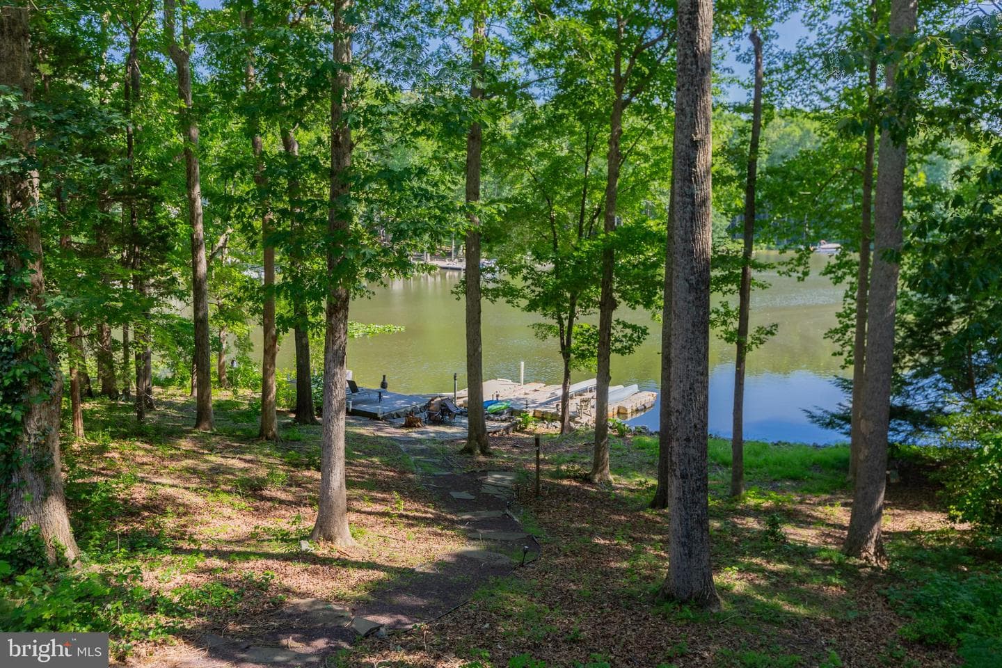 584 Lake Caroline Drive photo 55