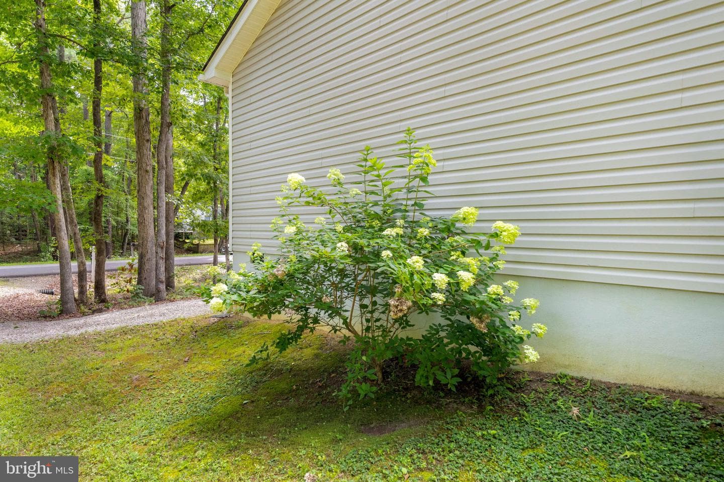 127 Bunker Hill Drive photo 25