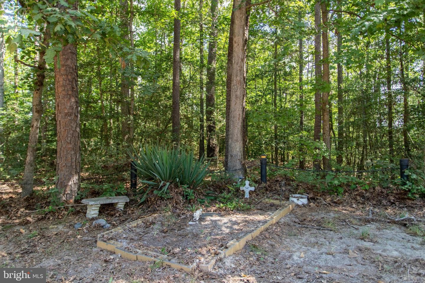 24165 Old C C Road photo 31