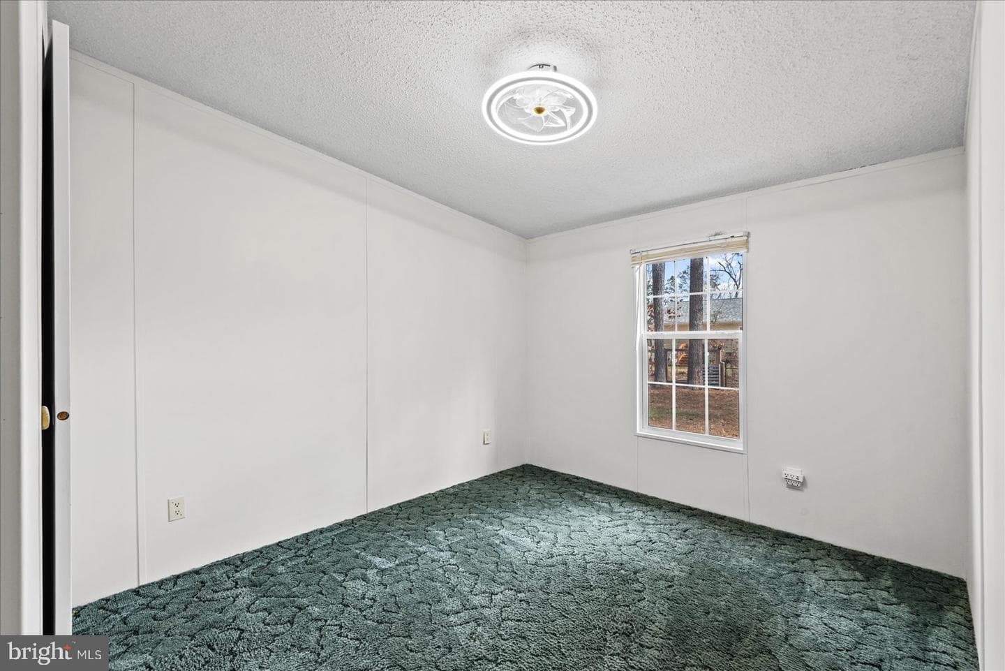 26271 Dogwood Drive photo 22