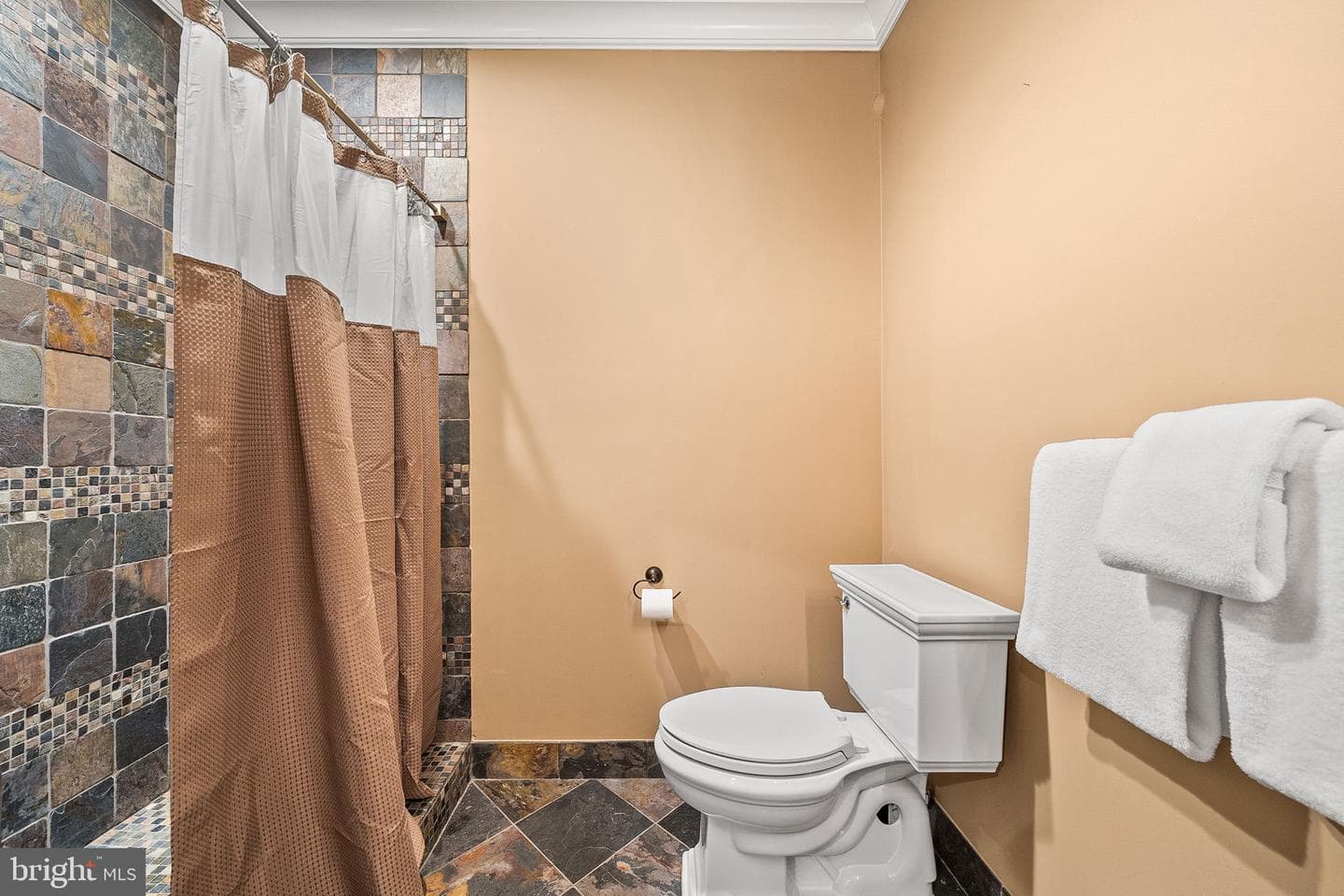 813 Fulton Avenue photo 62