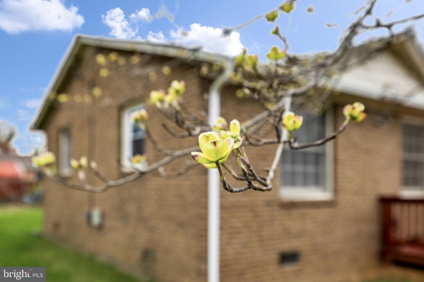 1306 Cardwell Street photo 8