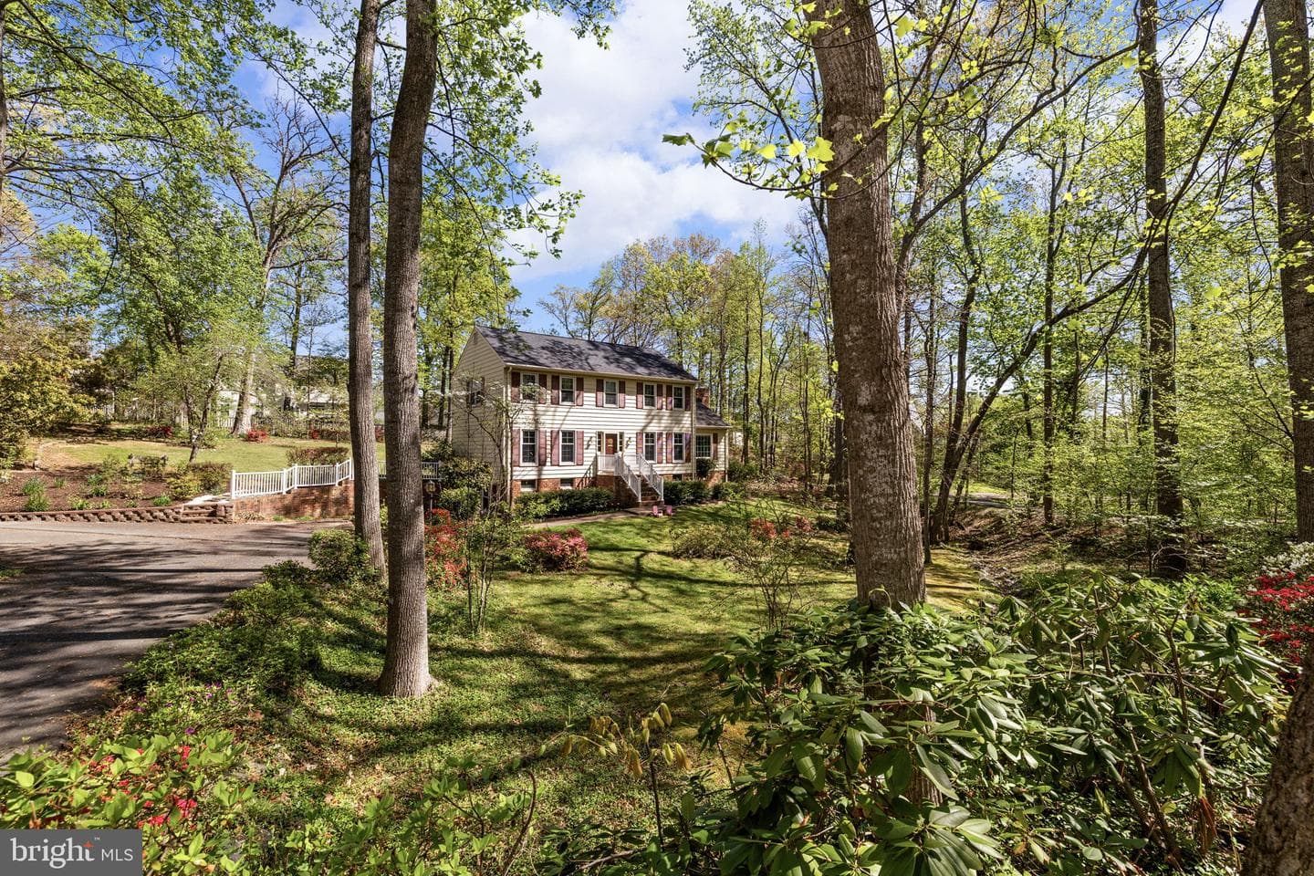 113 Poplar Drive photo 48