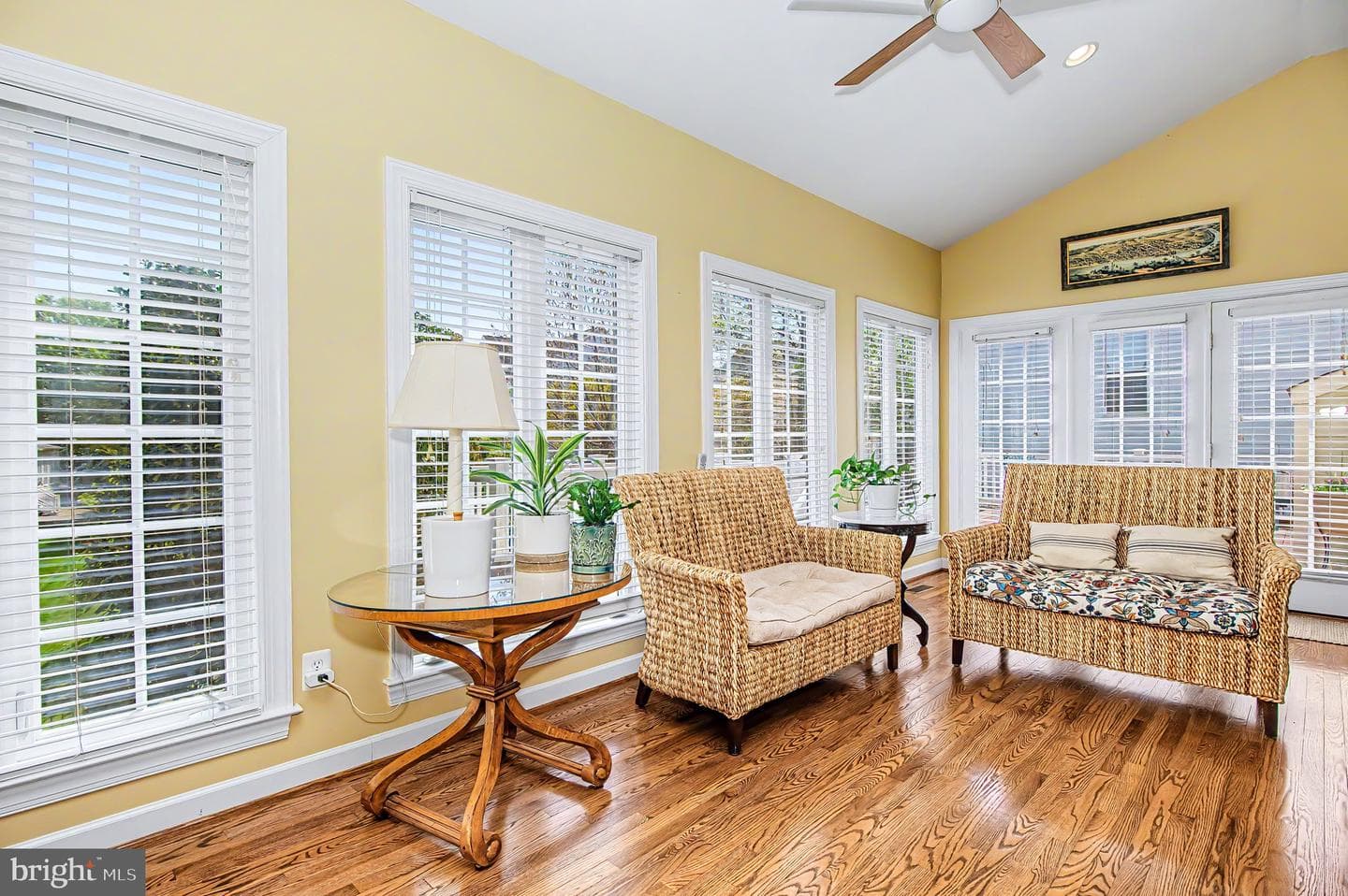 1003 Raymond Court photo 20