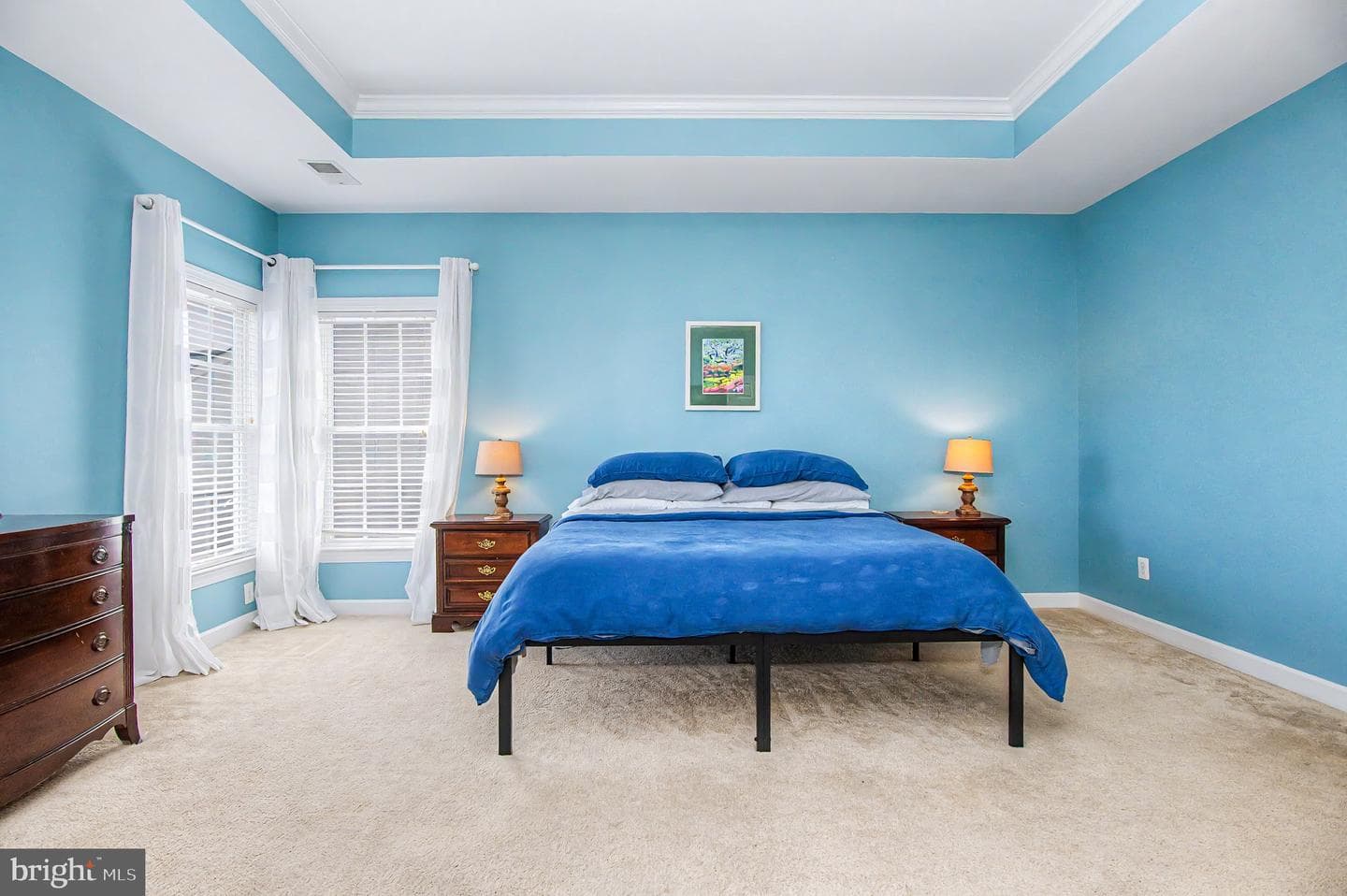 1003 Raymond Court photo 43