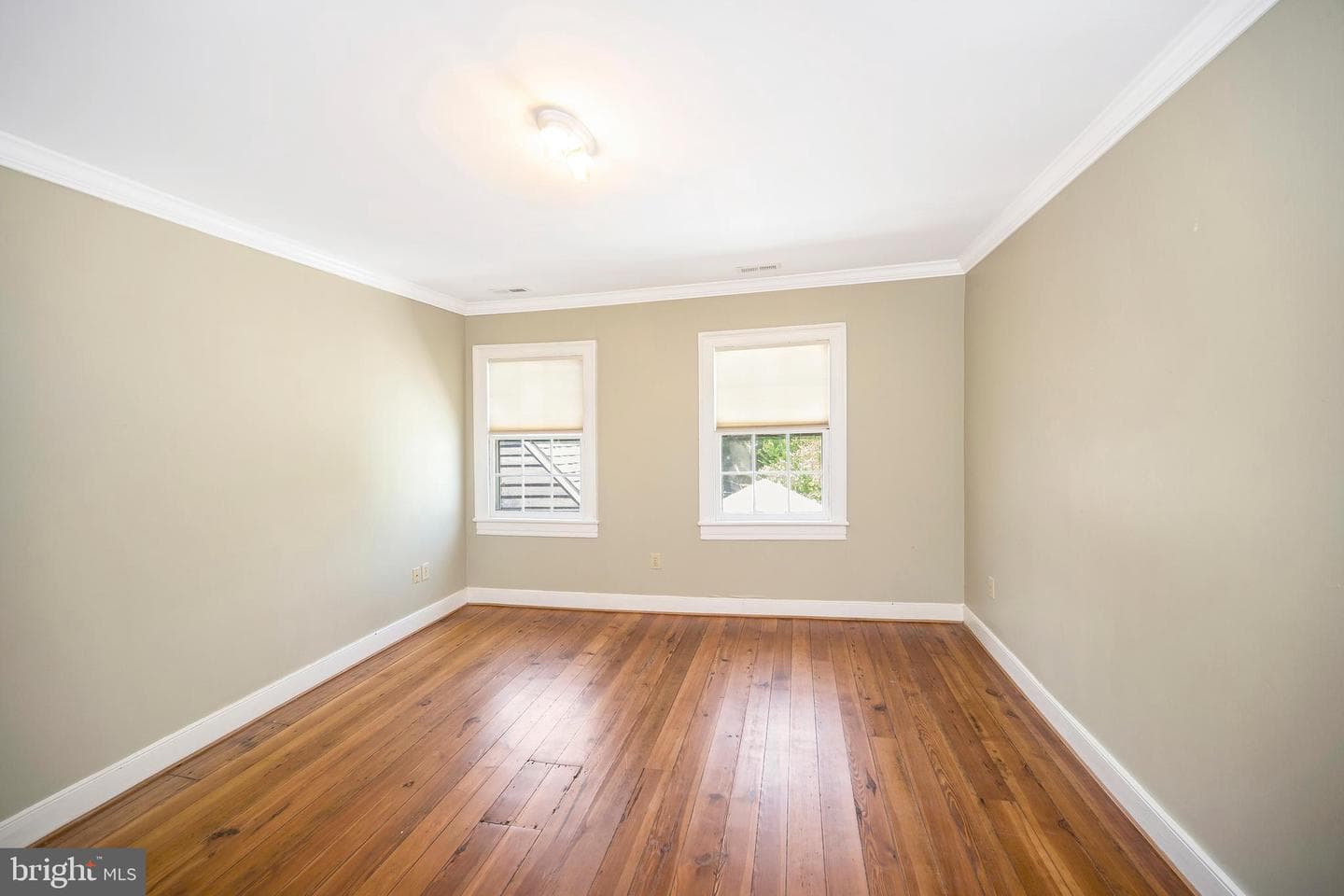 1102 Prince Edward Street photo 42