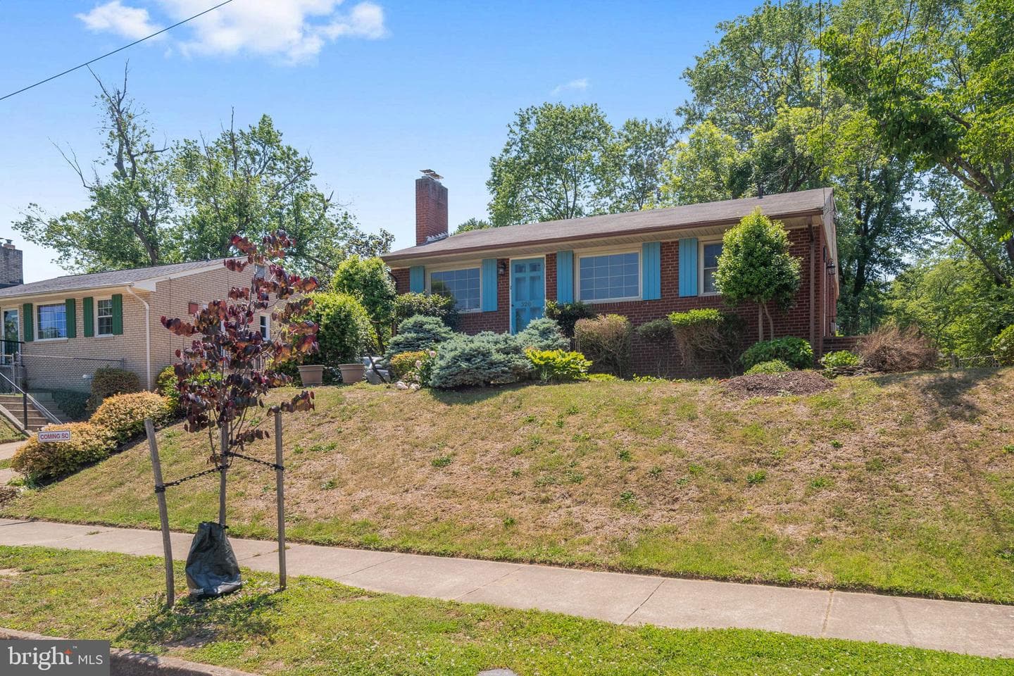 3204 Linden Avenue photo 22