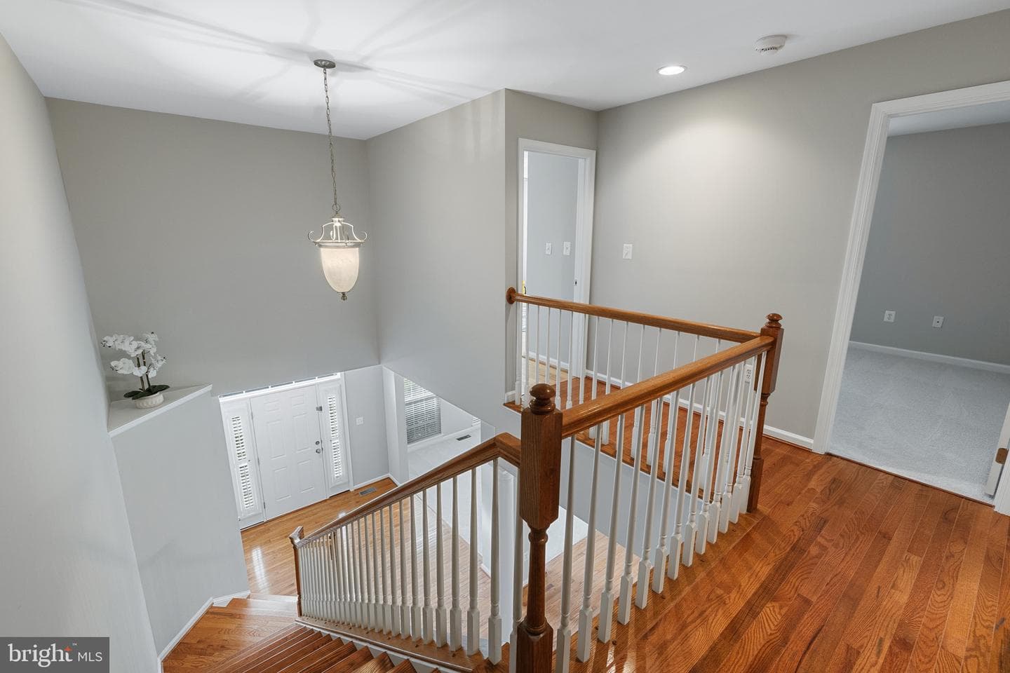 1100 Wright Court photo 28