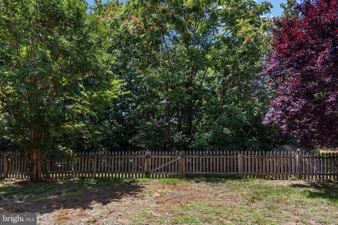 1100 Austin Drive photo 115