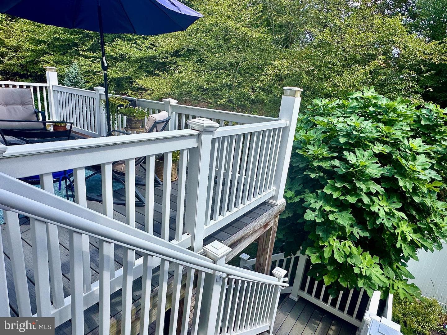1040 Hotchkiss Place photo 31