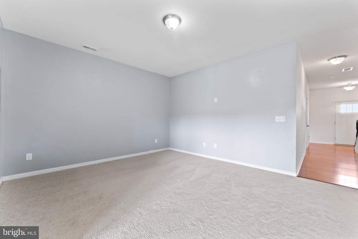 1418 Hudgins Farm Circle photo 4