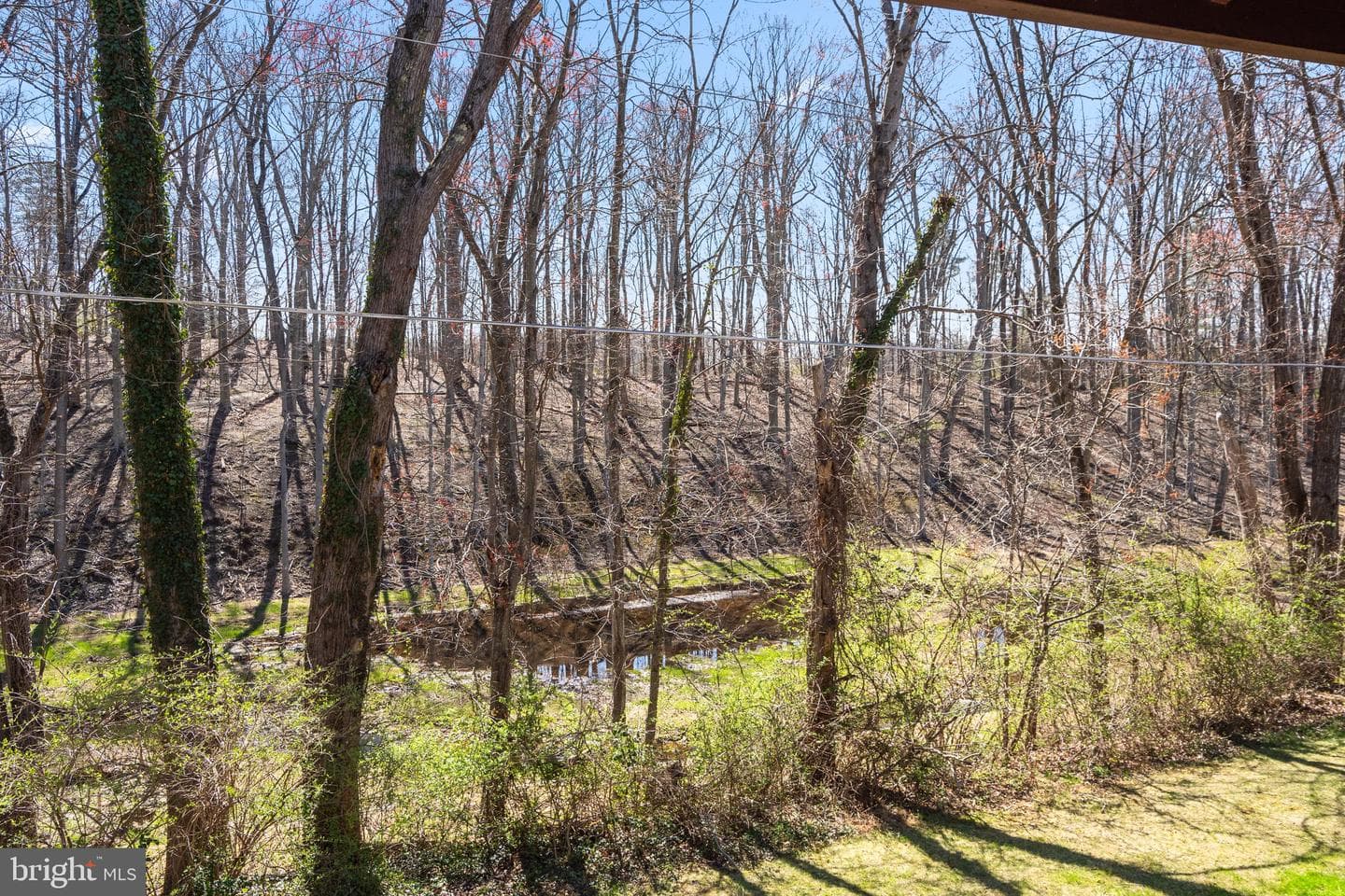 10009 Fair Woods Drive photo 21