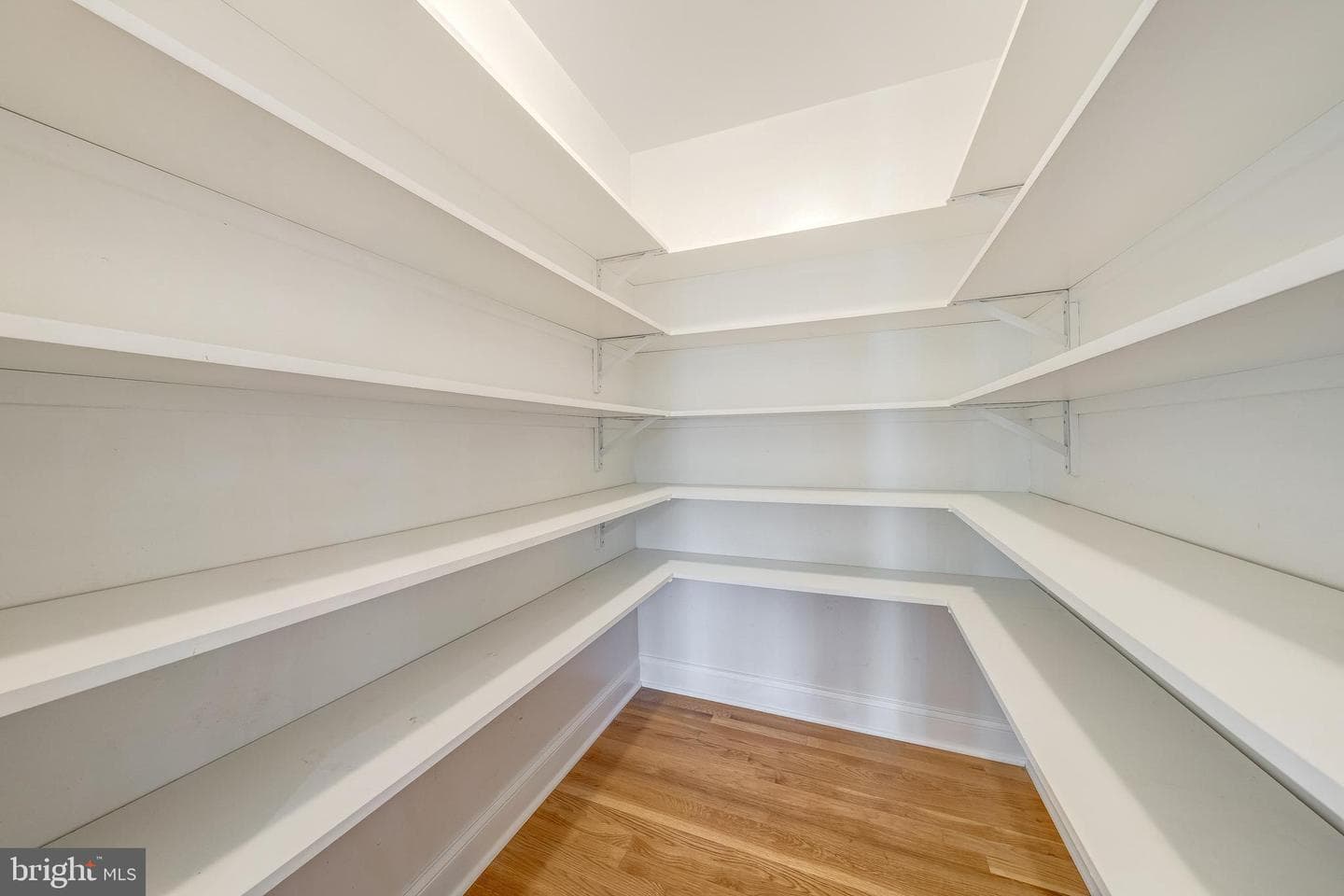 10817 Scott Drive photo 24