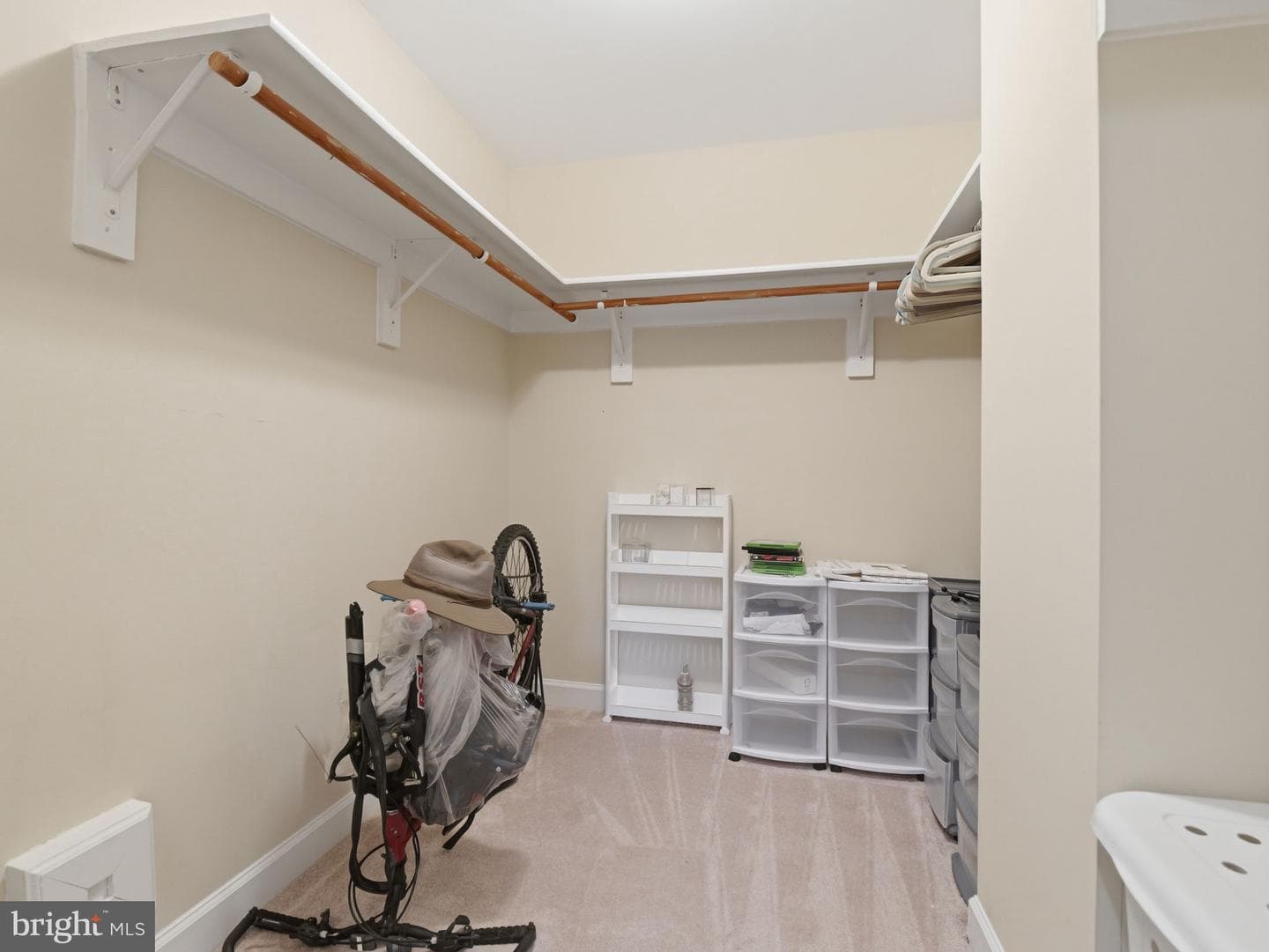 10123 Ratcliffe Manor Drive photo 12