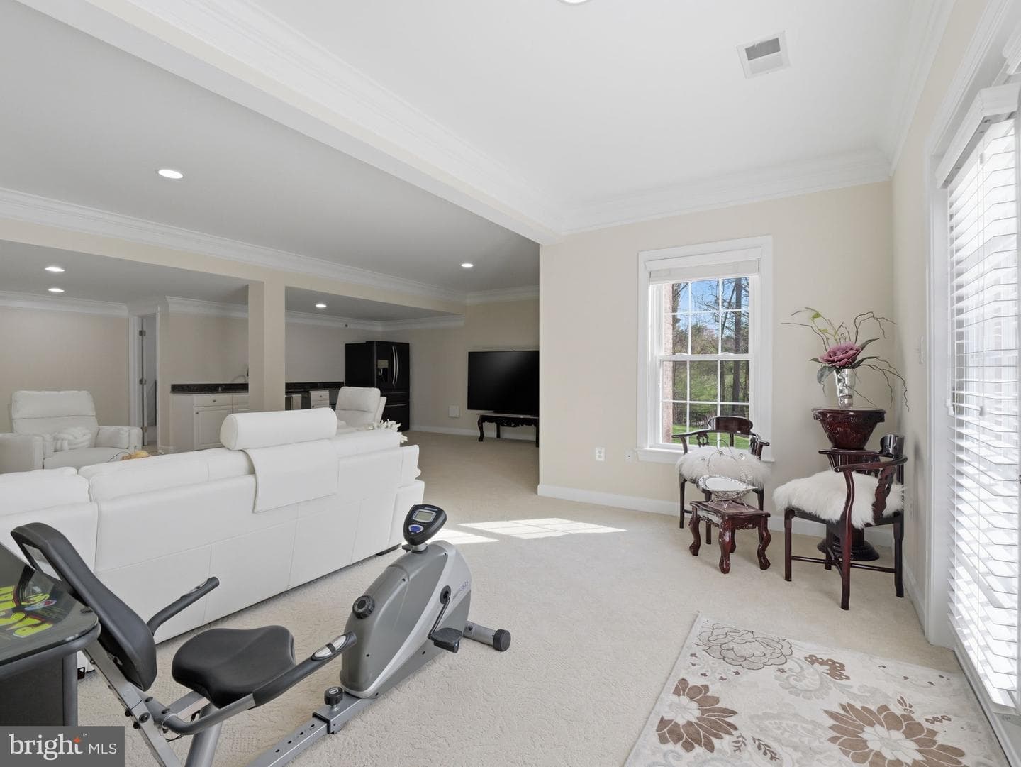10123 Ratcliffe Manor Drive photo 28