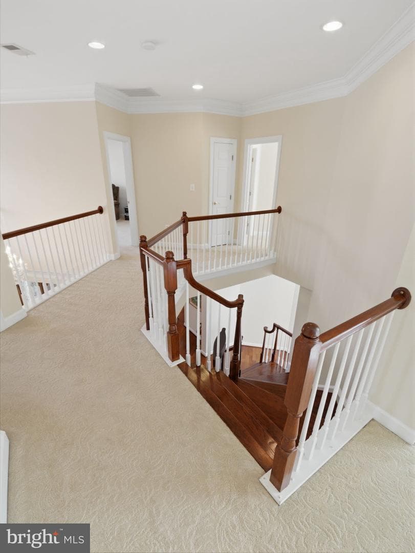 10123 Ratcliffe Manor Drive photo 92