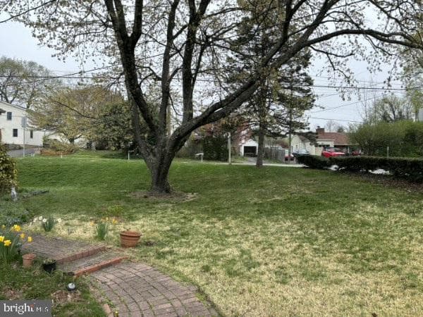 3501 Queen Anne Drive photo 2