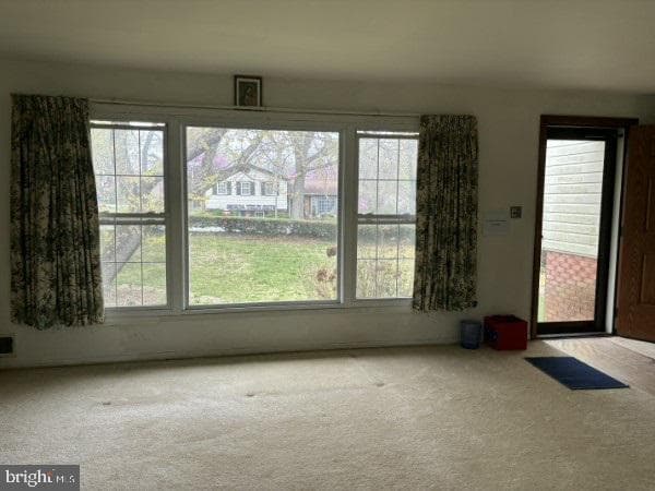 3501 Queen Anne Drive photo 22