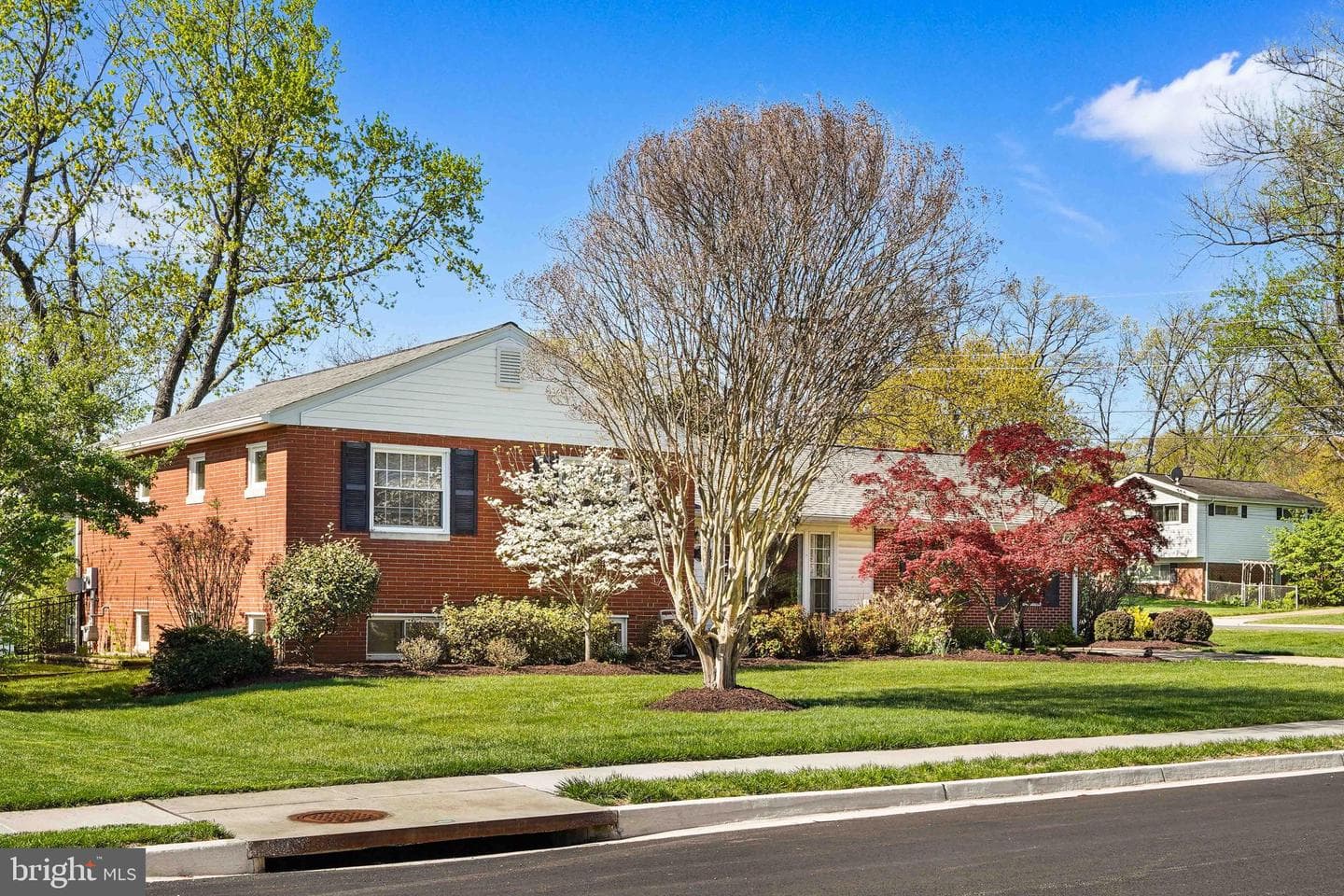10917 Woodhaven Drive photo 31