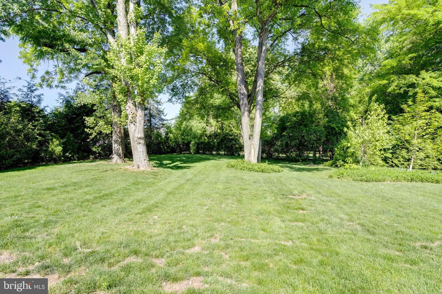 10501 Oak Place Court photo 48