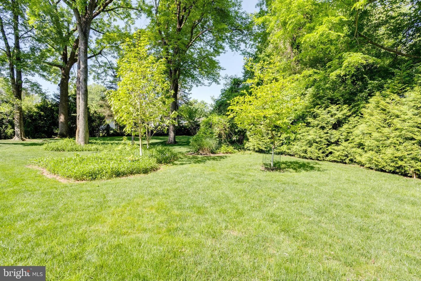 10501 Oak Place Court photo 49