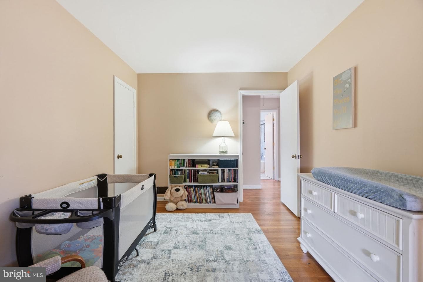 10011 Terry Street photo 22