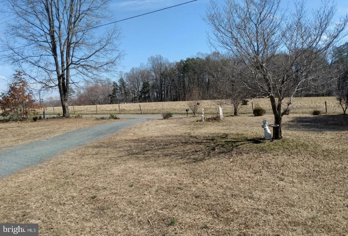 1248 Shores Road photo 12