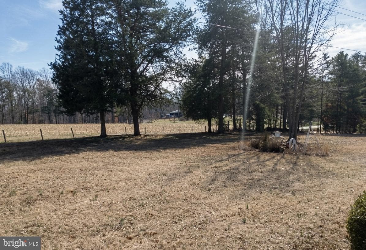 1248 Shores Road photo 6