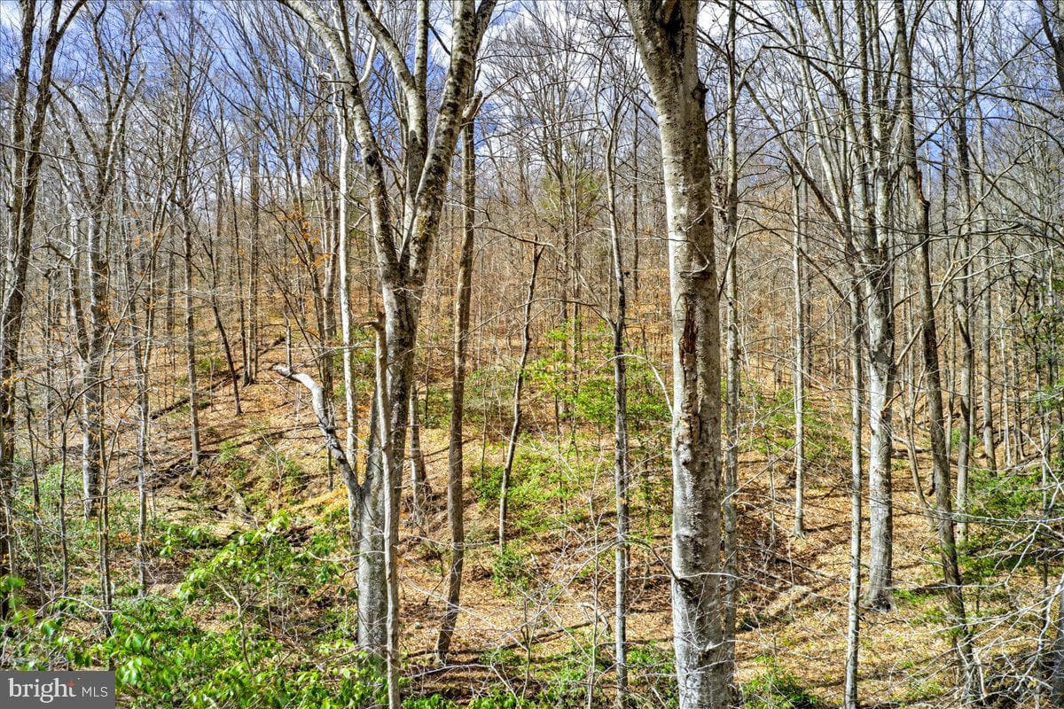 18 Chickasaw Place photo 54