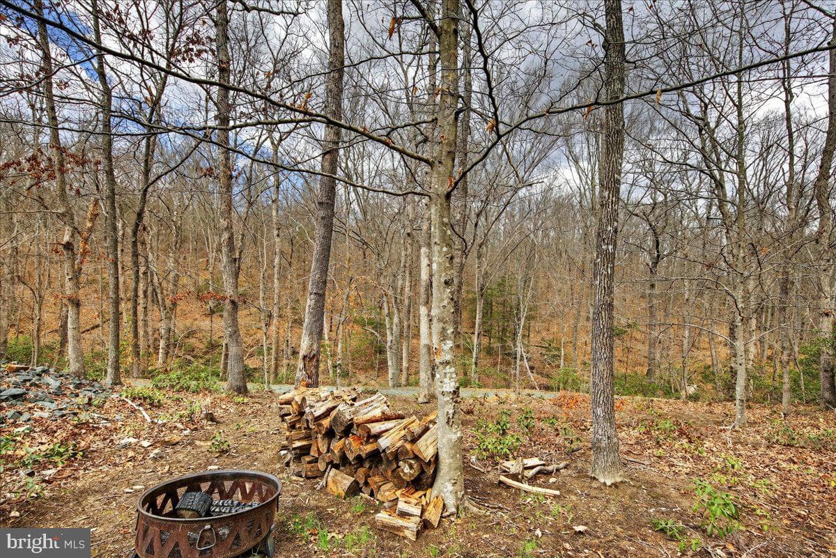 18 Chickasaw Place photo 57