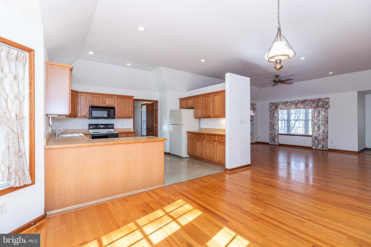 3 Albano Ct photo 15