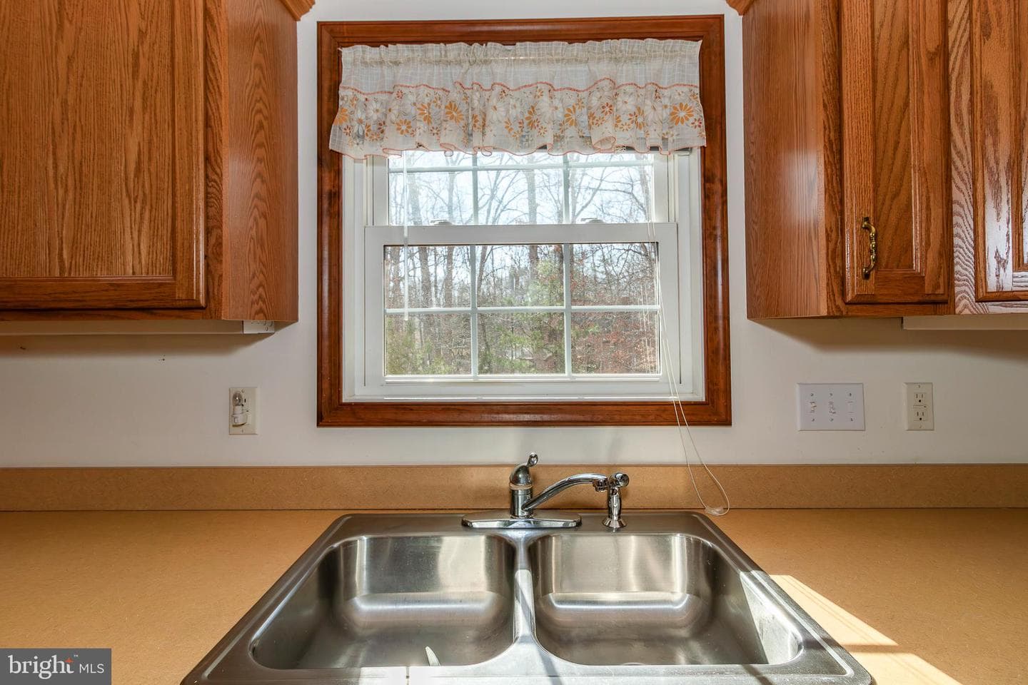 3 Albano Ct photo 19