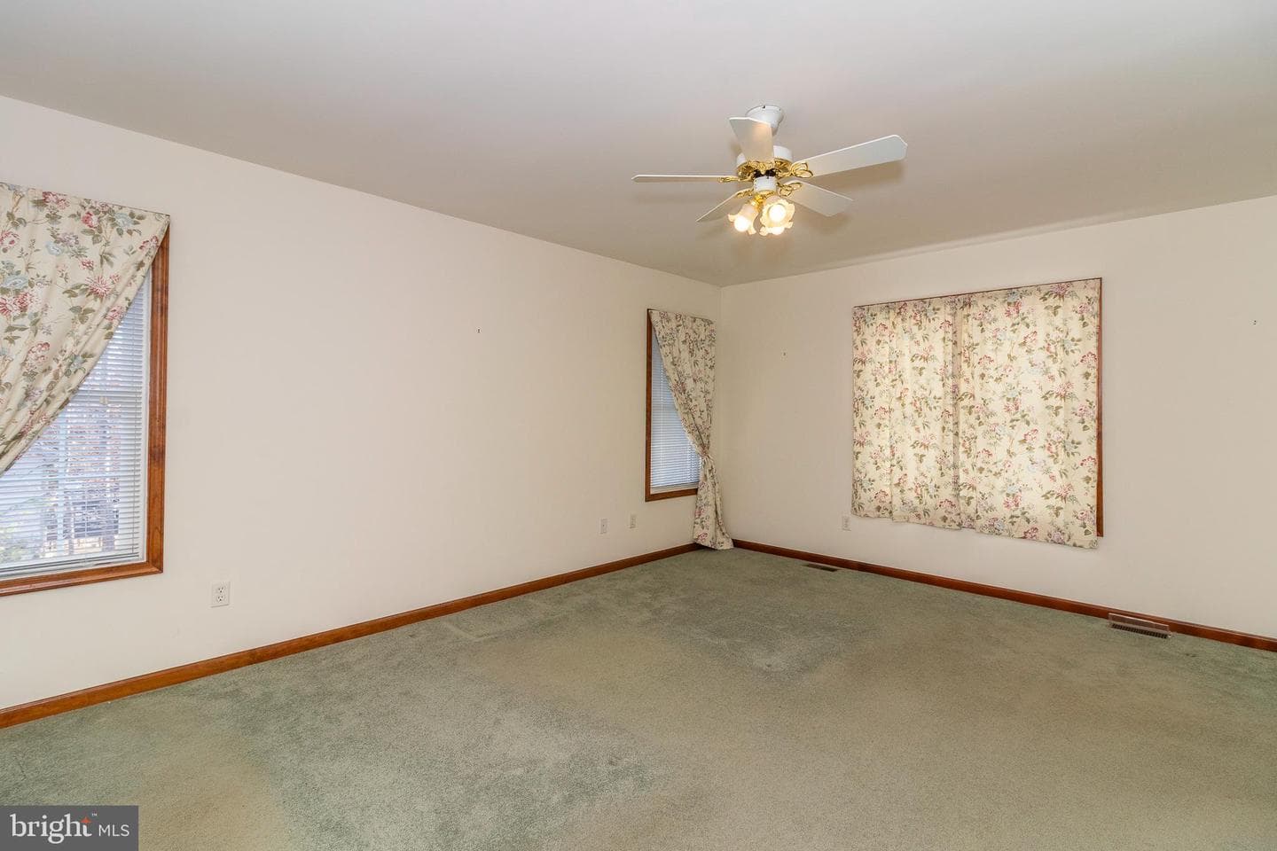 3 Albano Ct photo 22