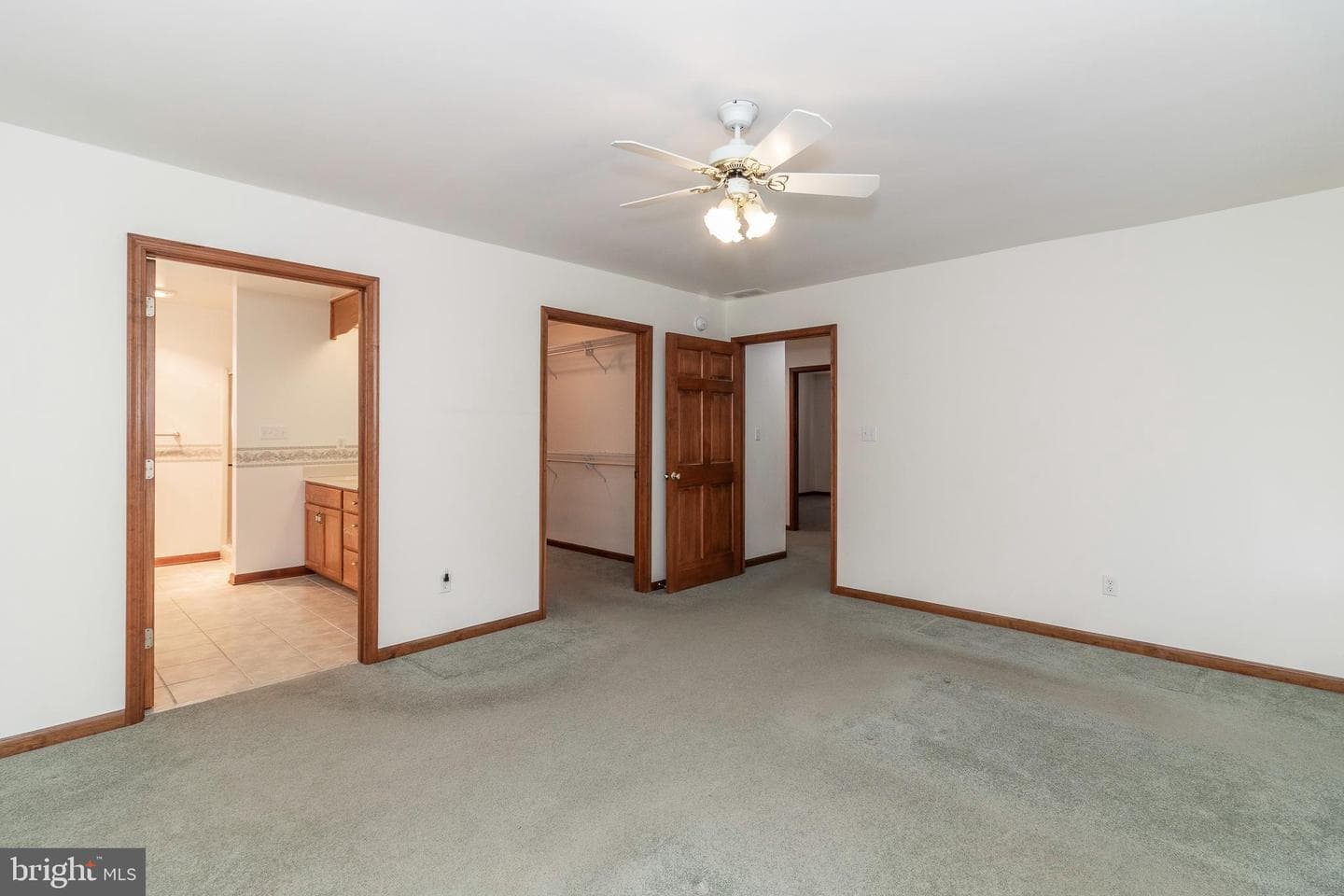 3 Albano Ct photo 23