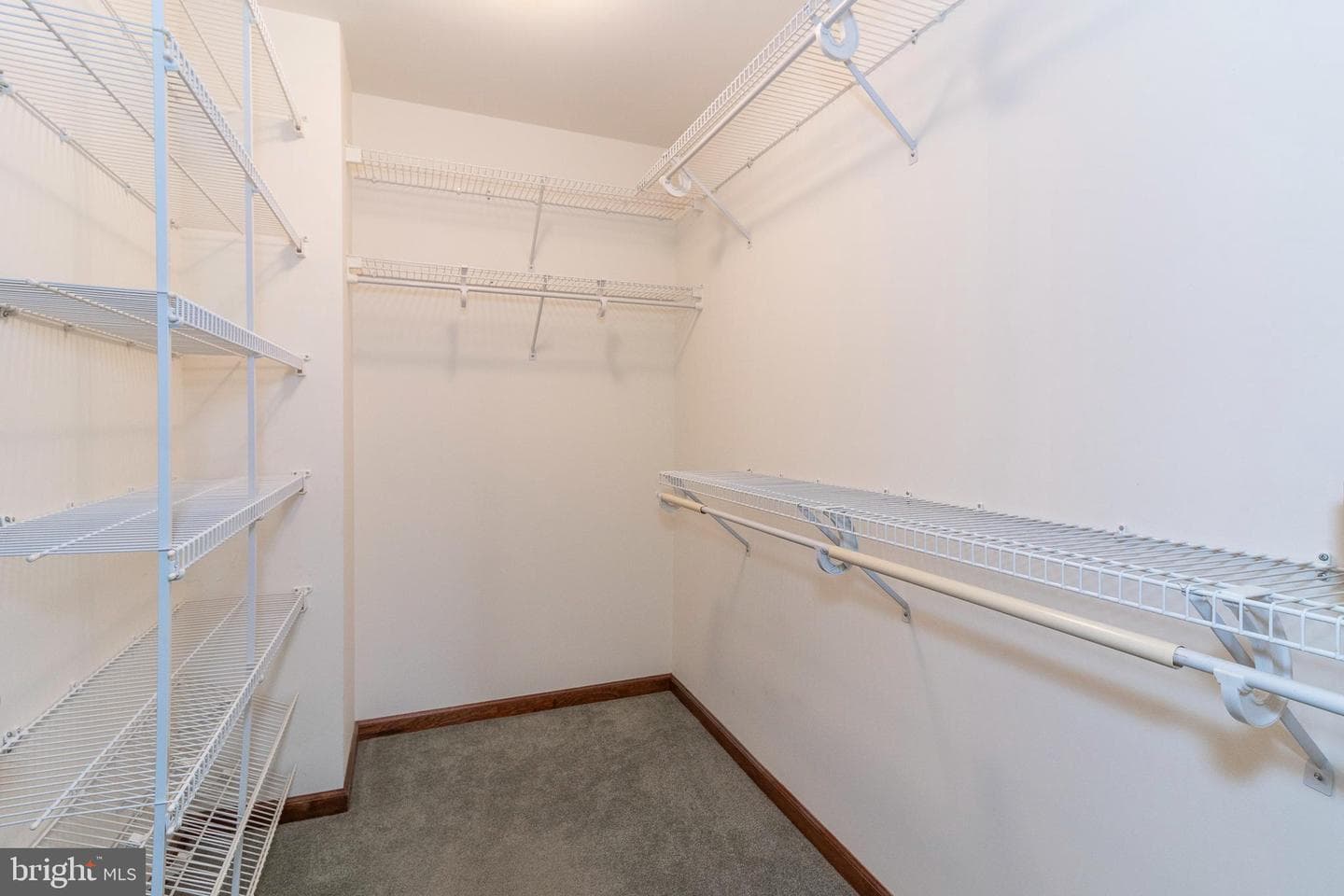 3 Albano Ct photo 24