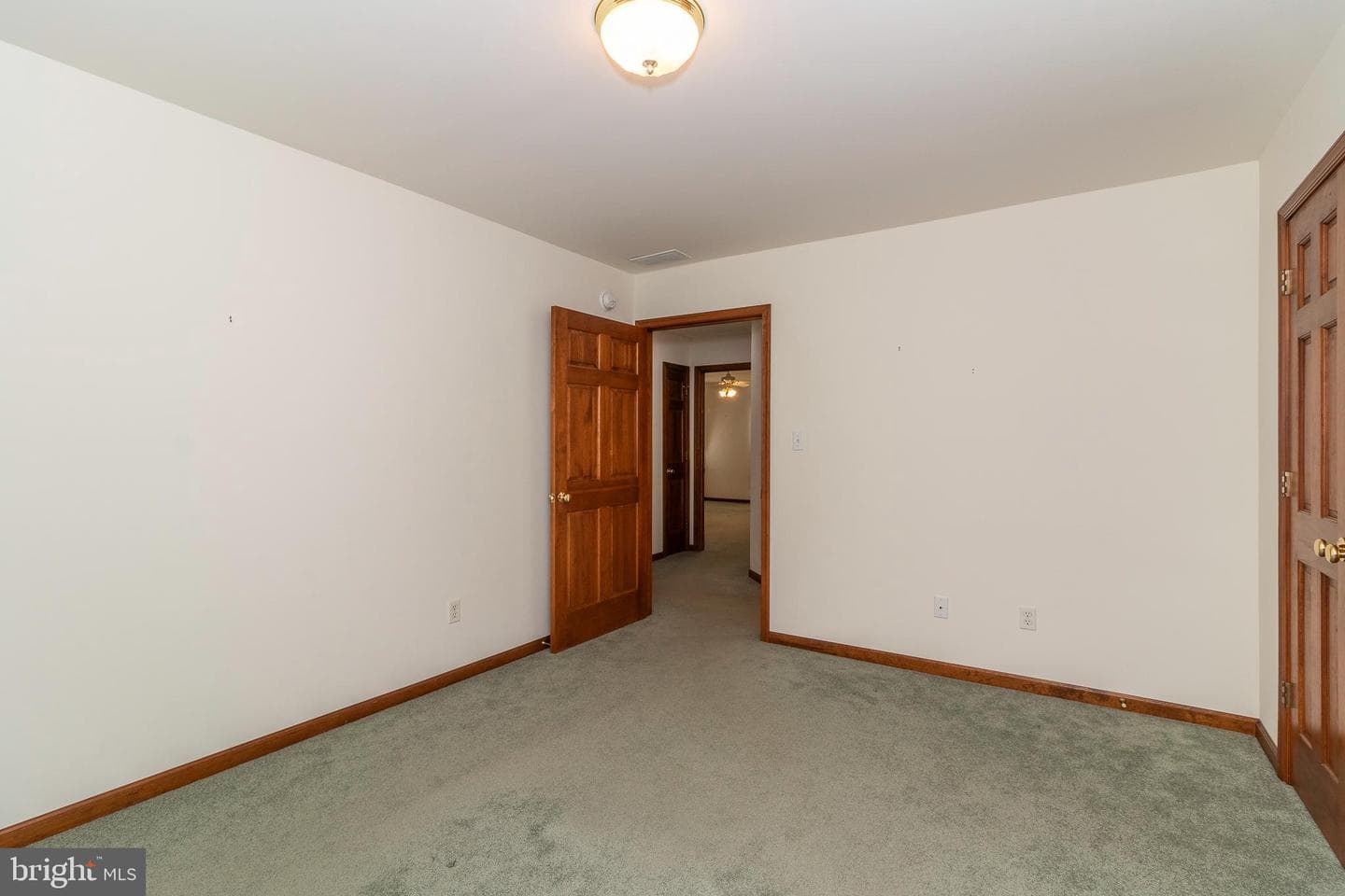 3 Albano Ct photo 29