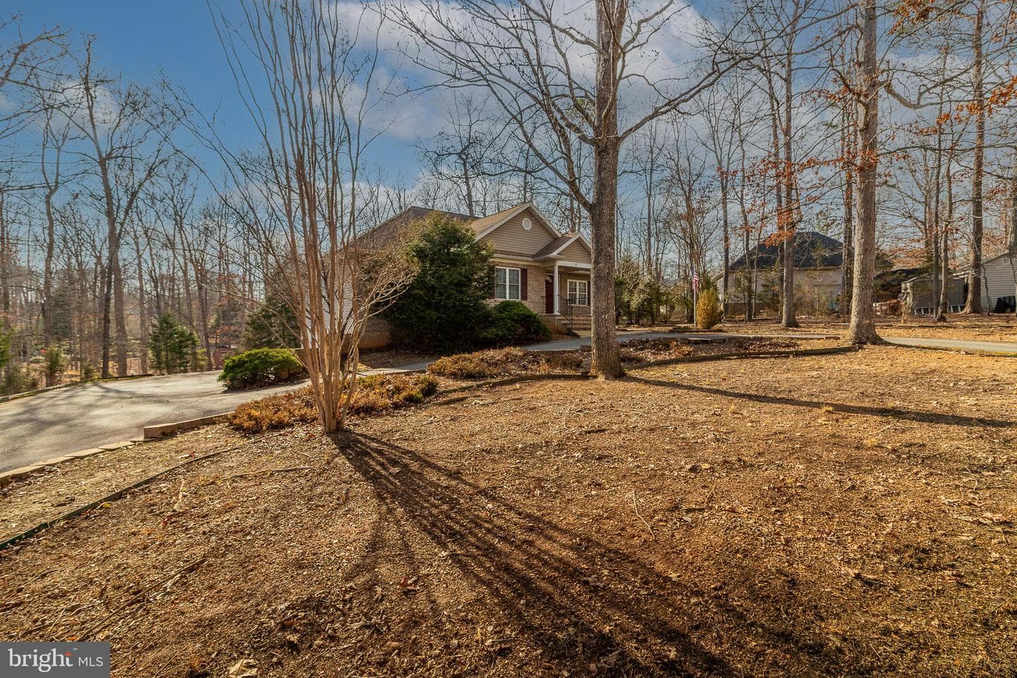 3 Albano Ct photo 4