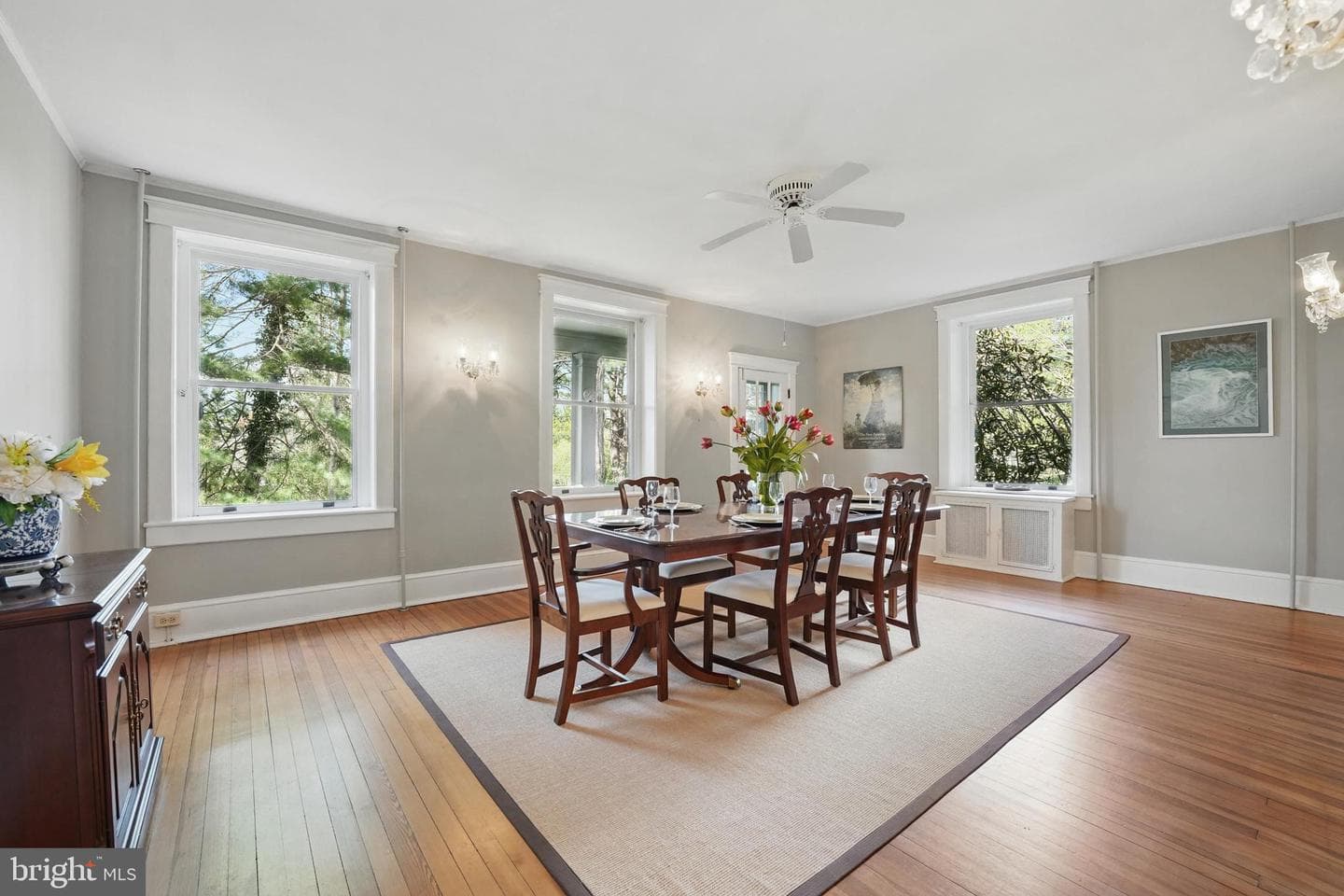 507 Winchester Street photo 14