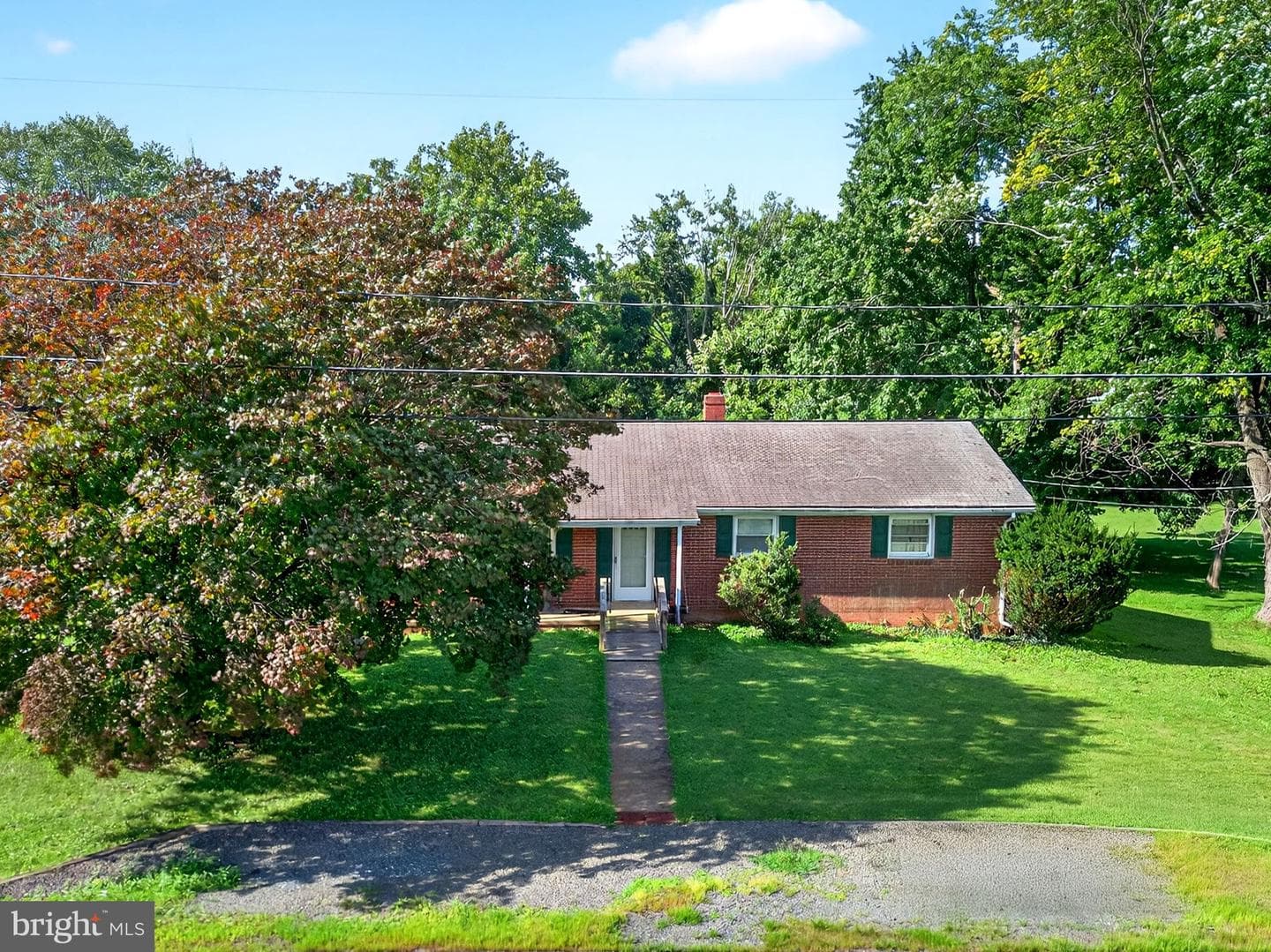 273 Waterloo Street photo 6