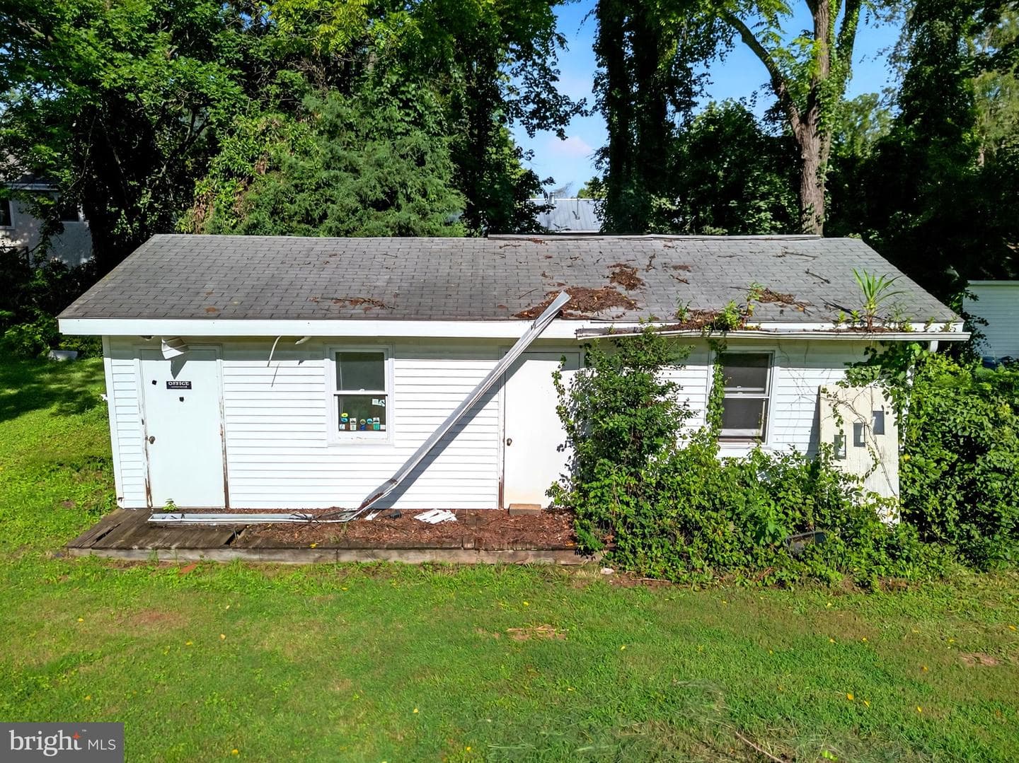 273 Waterloo Street photo 7