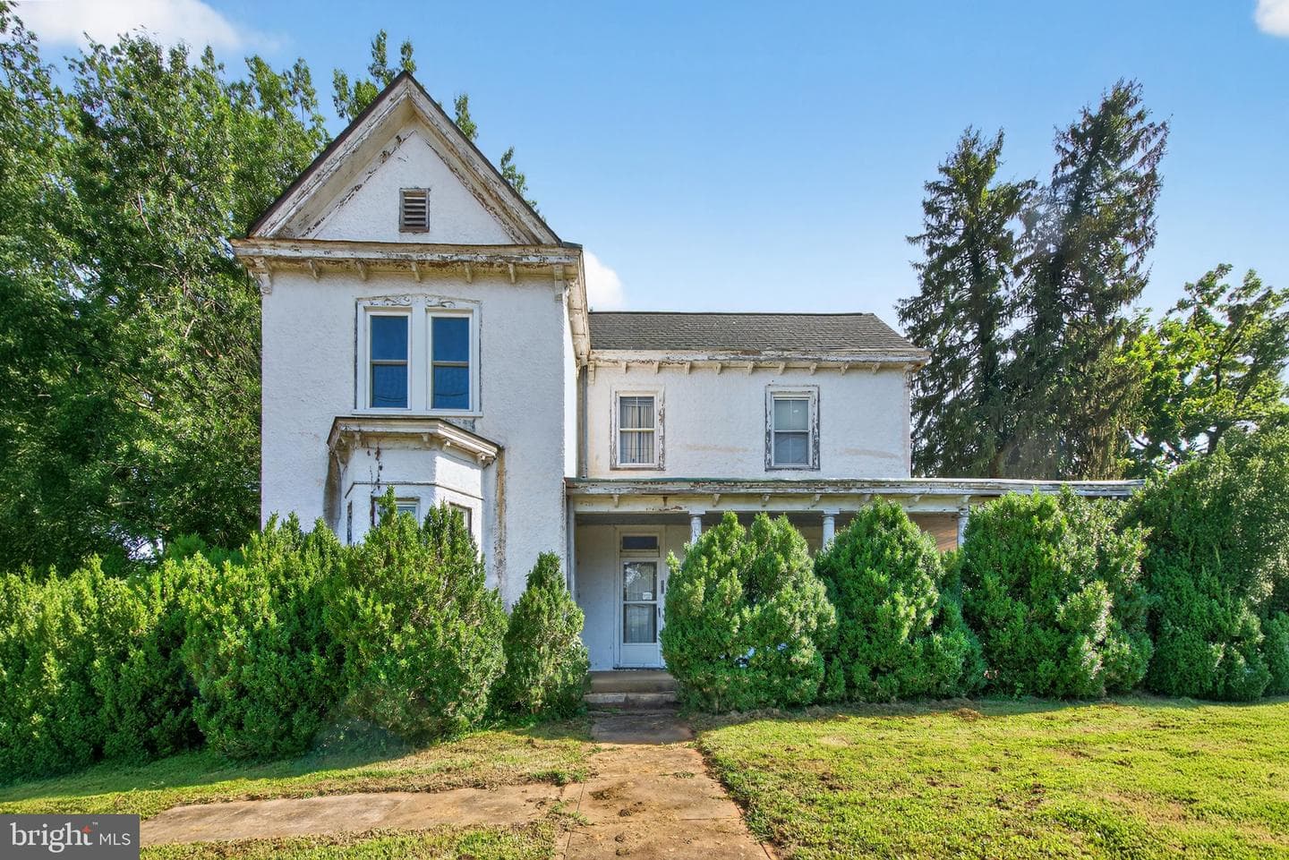 273 Waterloo Street photo 9