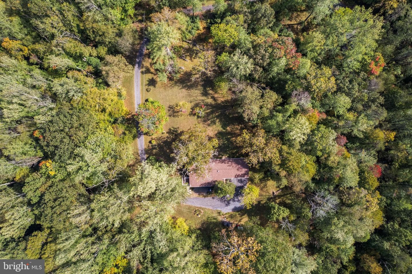 7127 Wilson Road photo 6
